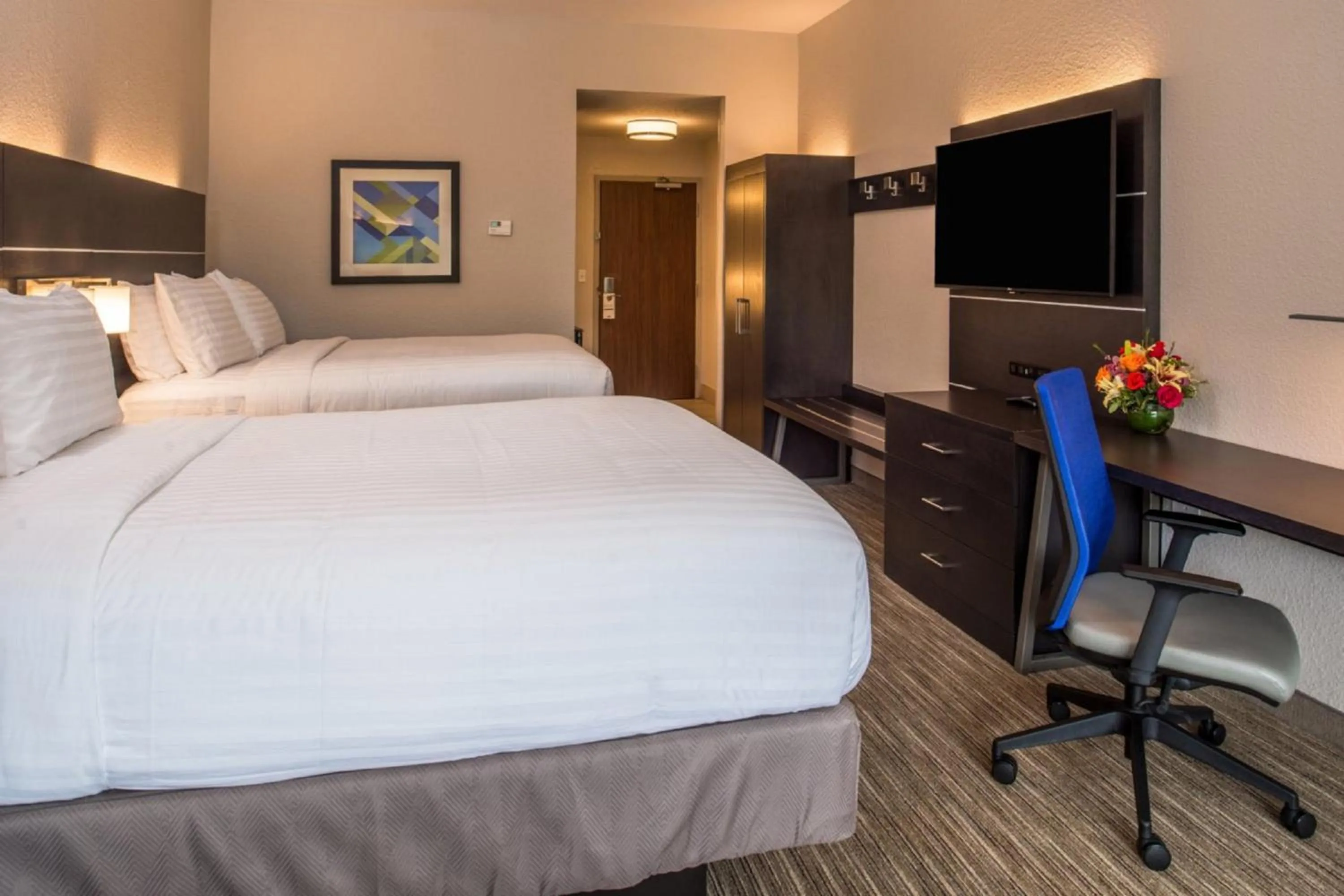 Photo of the whole room, Bed in Holiday Inn Express & Suites - Tampa North - Wesley Chapel by IHG