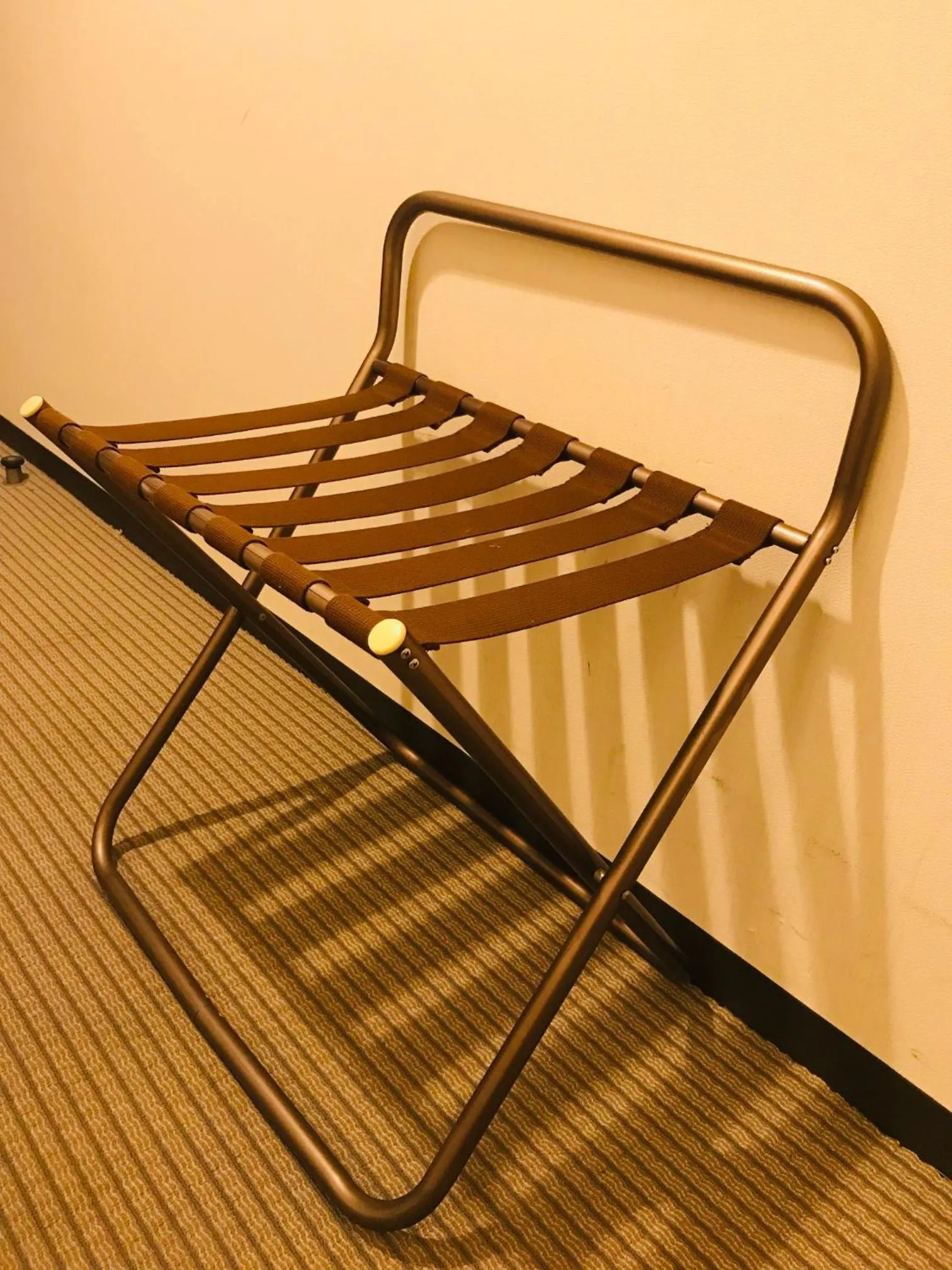 Other in The Celecton Fukushima