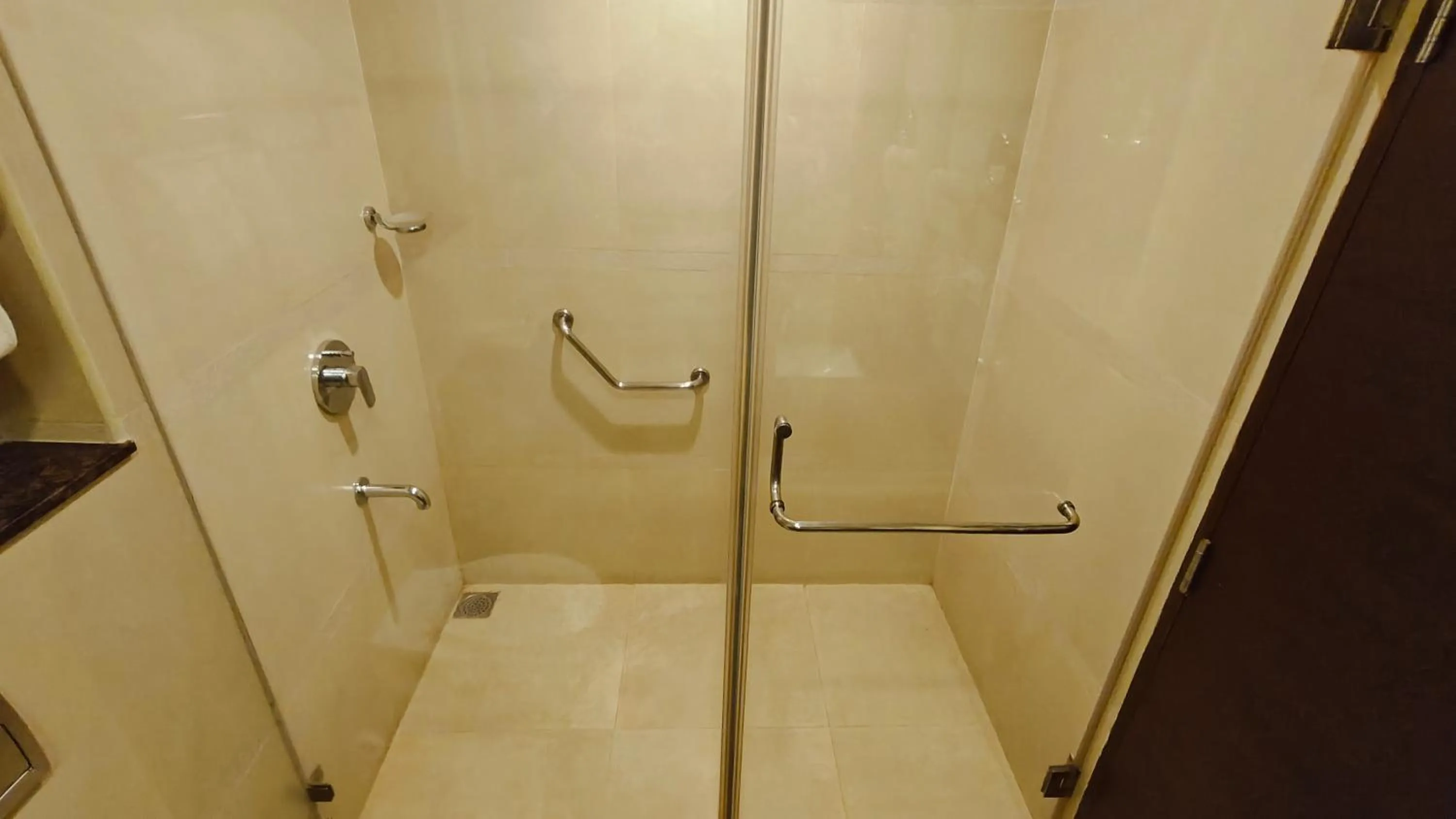 Shower in Khanna Fiesta - A Bergamont Hotel, Vellore
