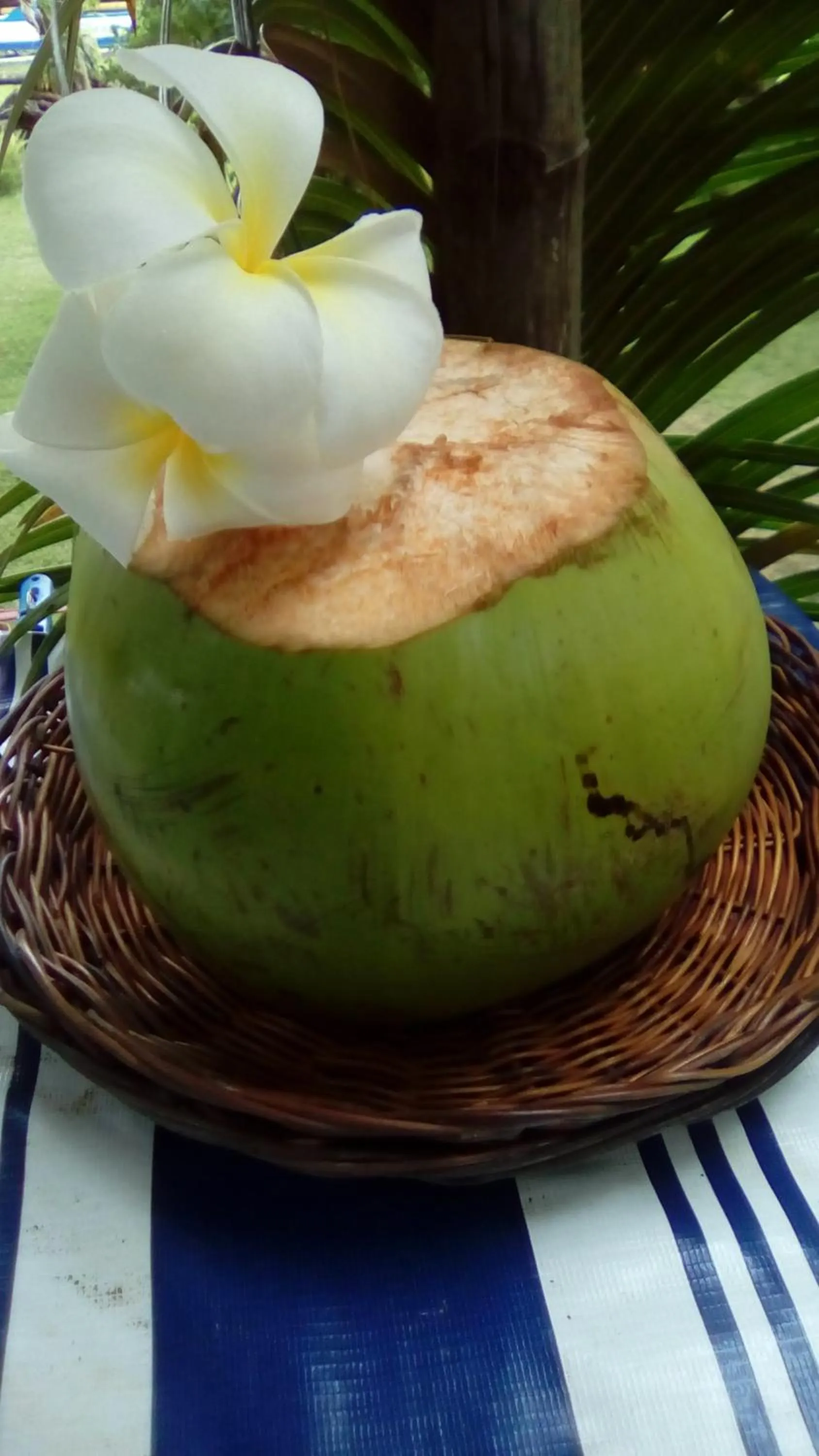 Property building in Shirley's Cottage - Pamilacan Island