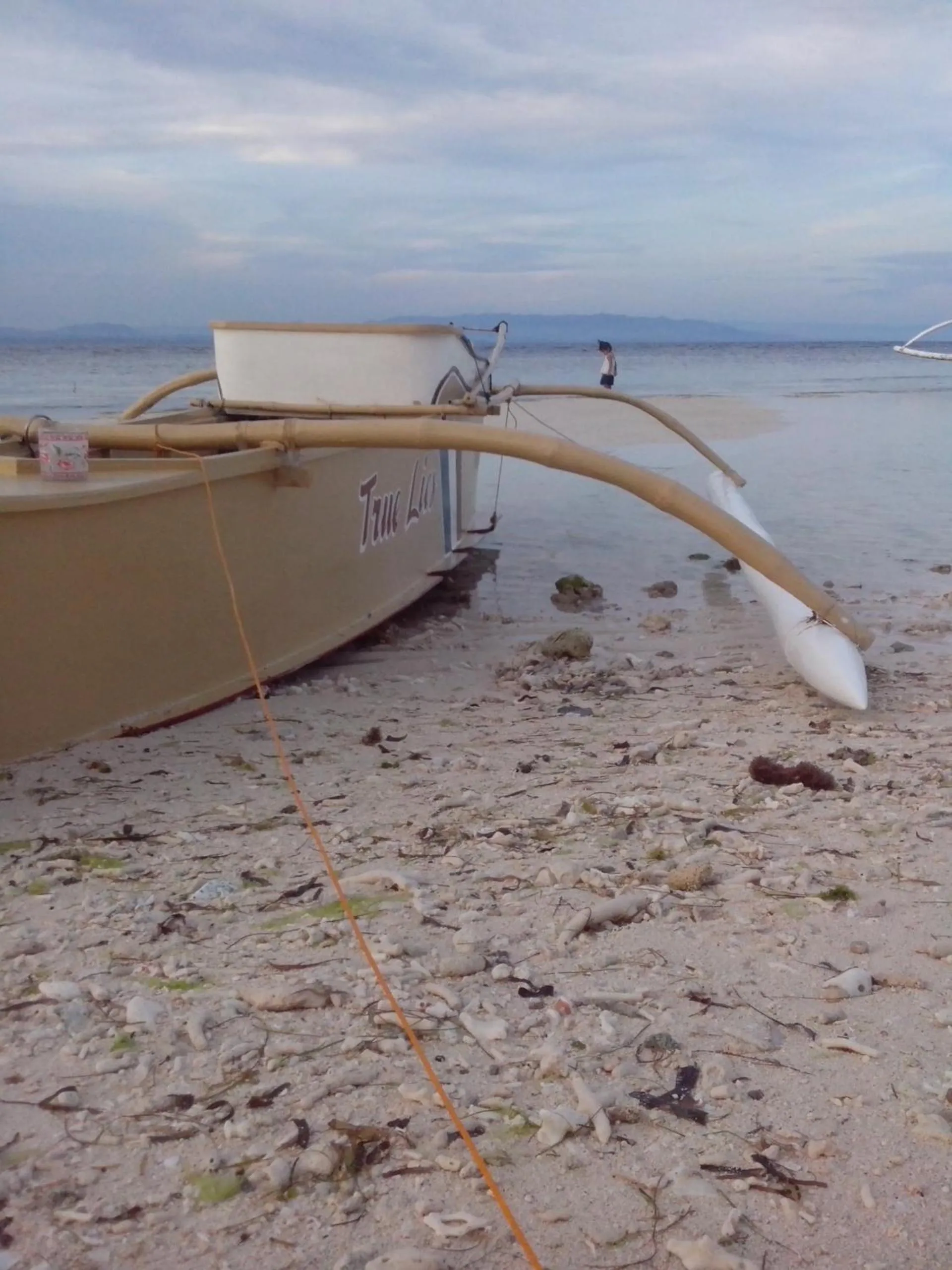 Summer in Shirley's Cottage - Pamilacan Island