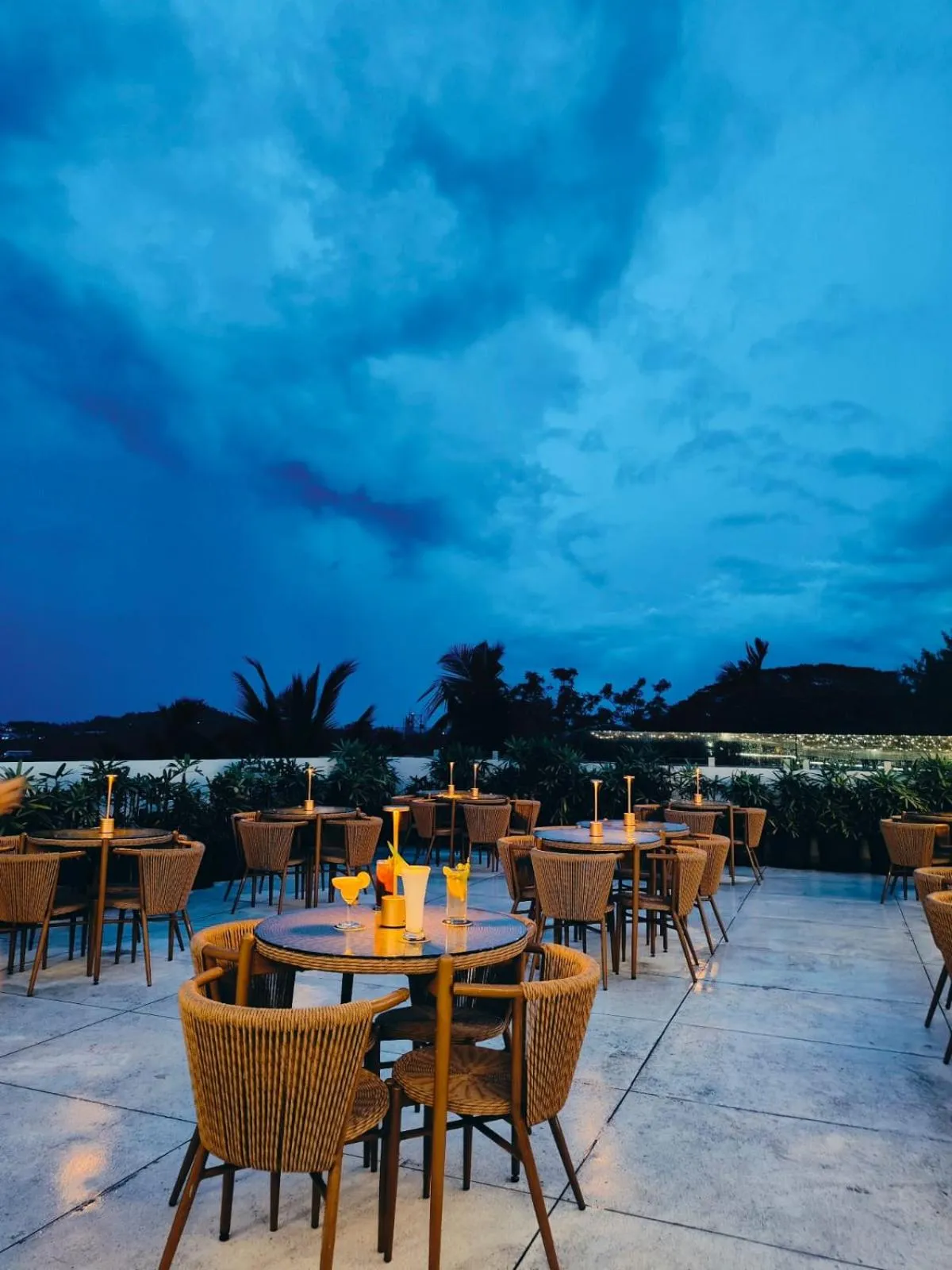 Lounge or bar in Sea Shell Coral Cove