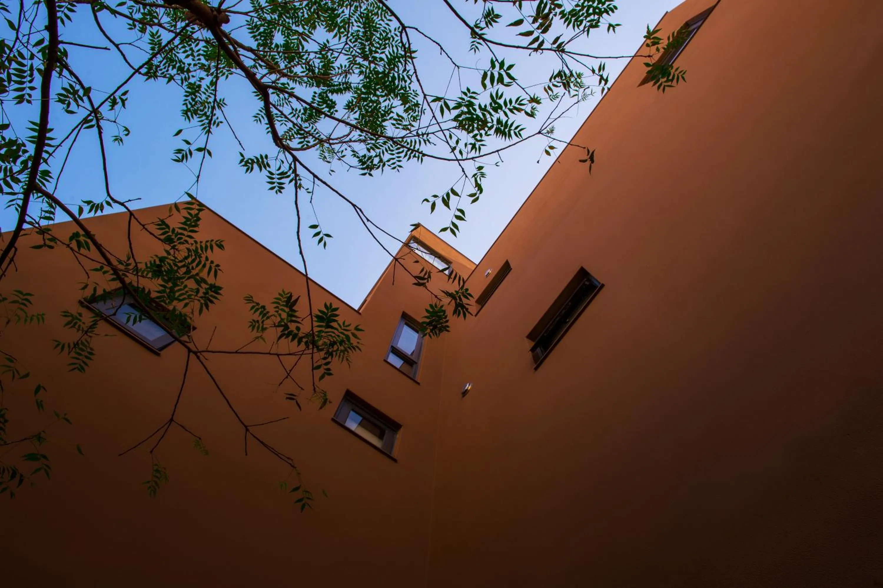 Off site in Timia Homestay