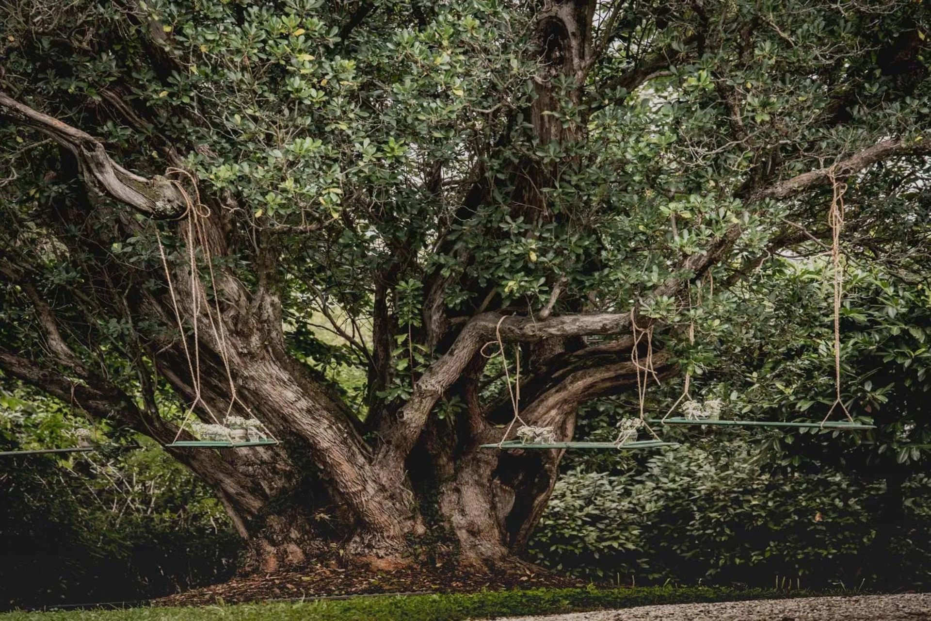 Garden in Villa Anitori Prestige Relais & Spa