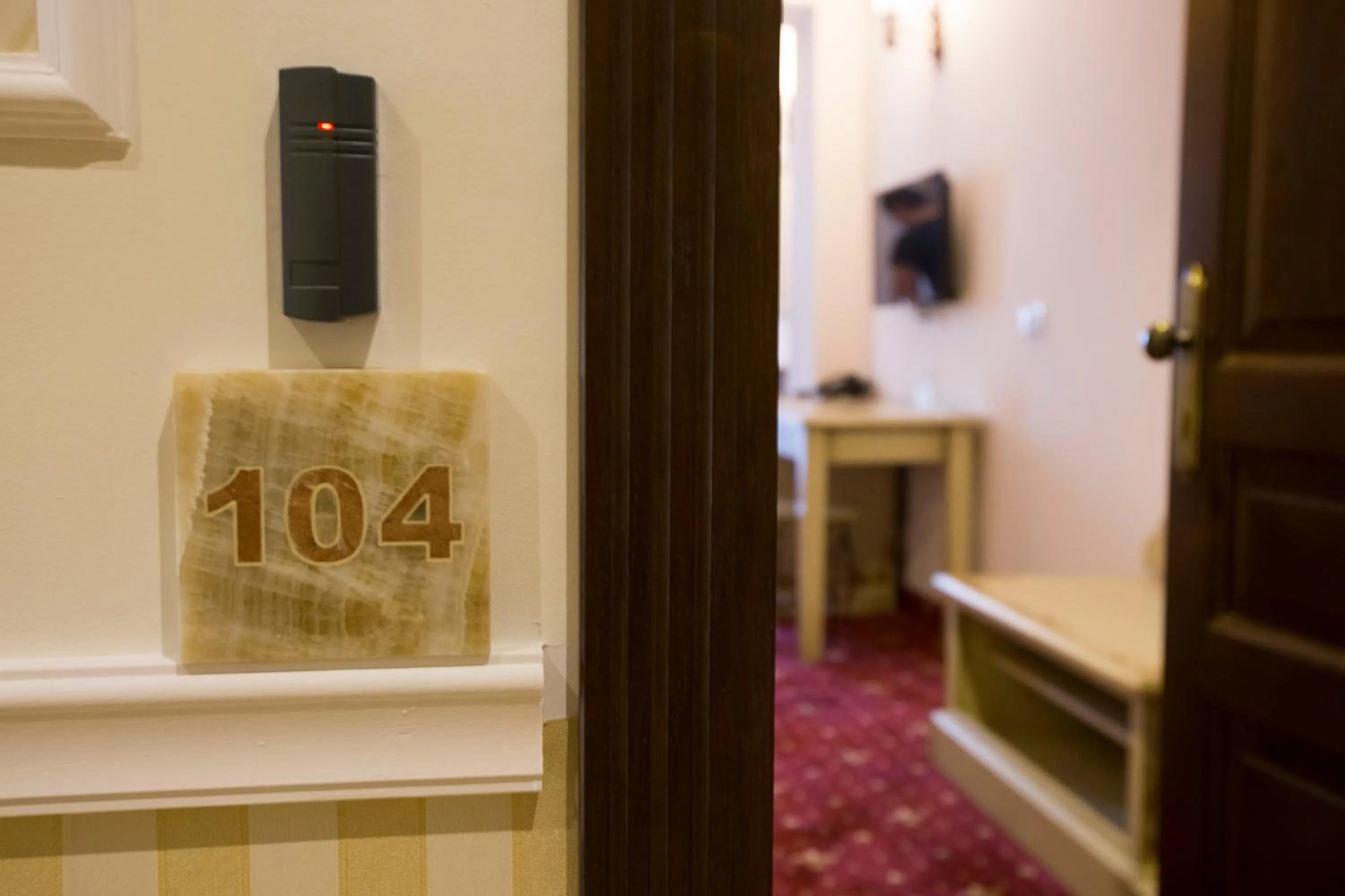 Photo of the whole room in Hotel Aviator Boutique