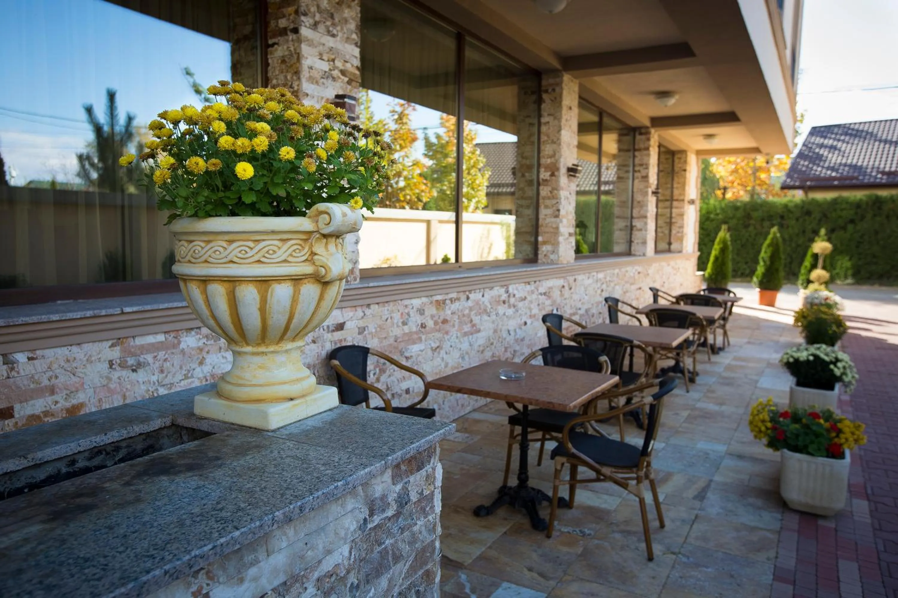 Garden in Hotel Aviator Boutique