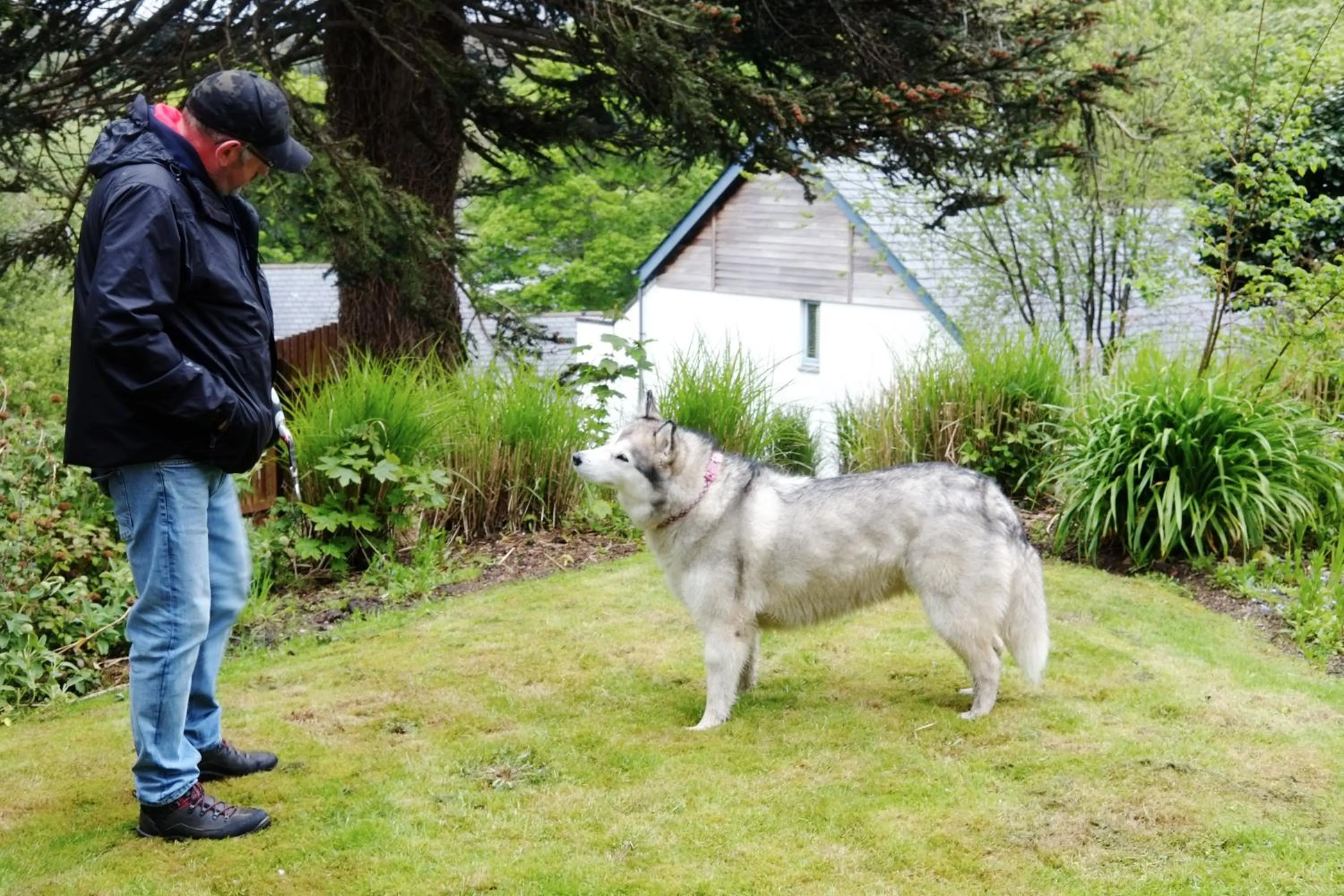 Garden in The Valley