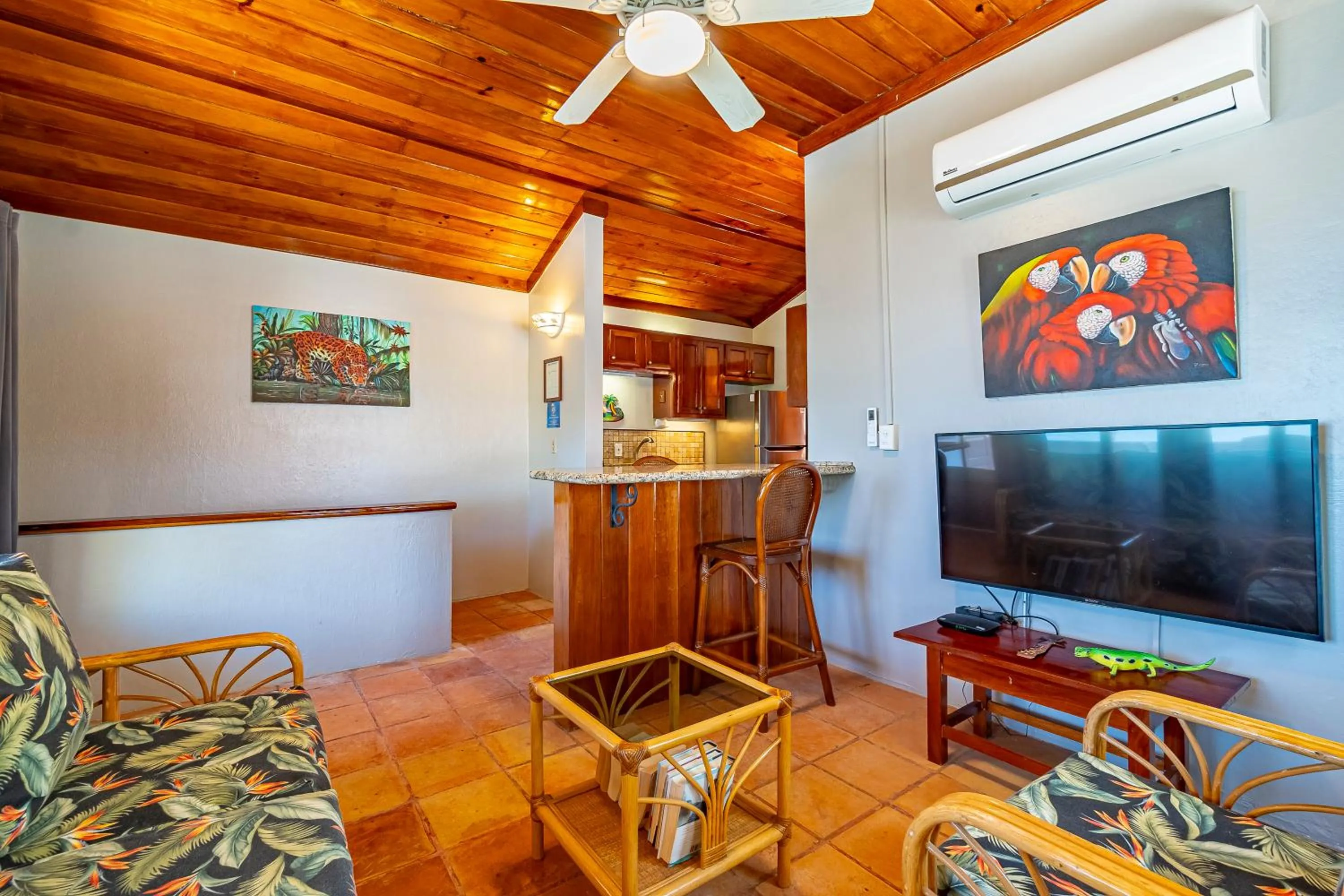 TV and multimedia in Tradewinds Paradise Villas