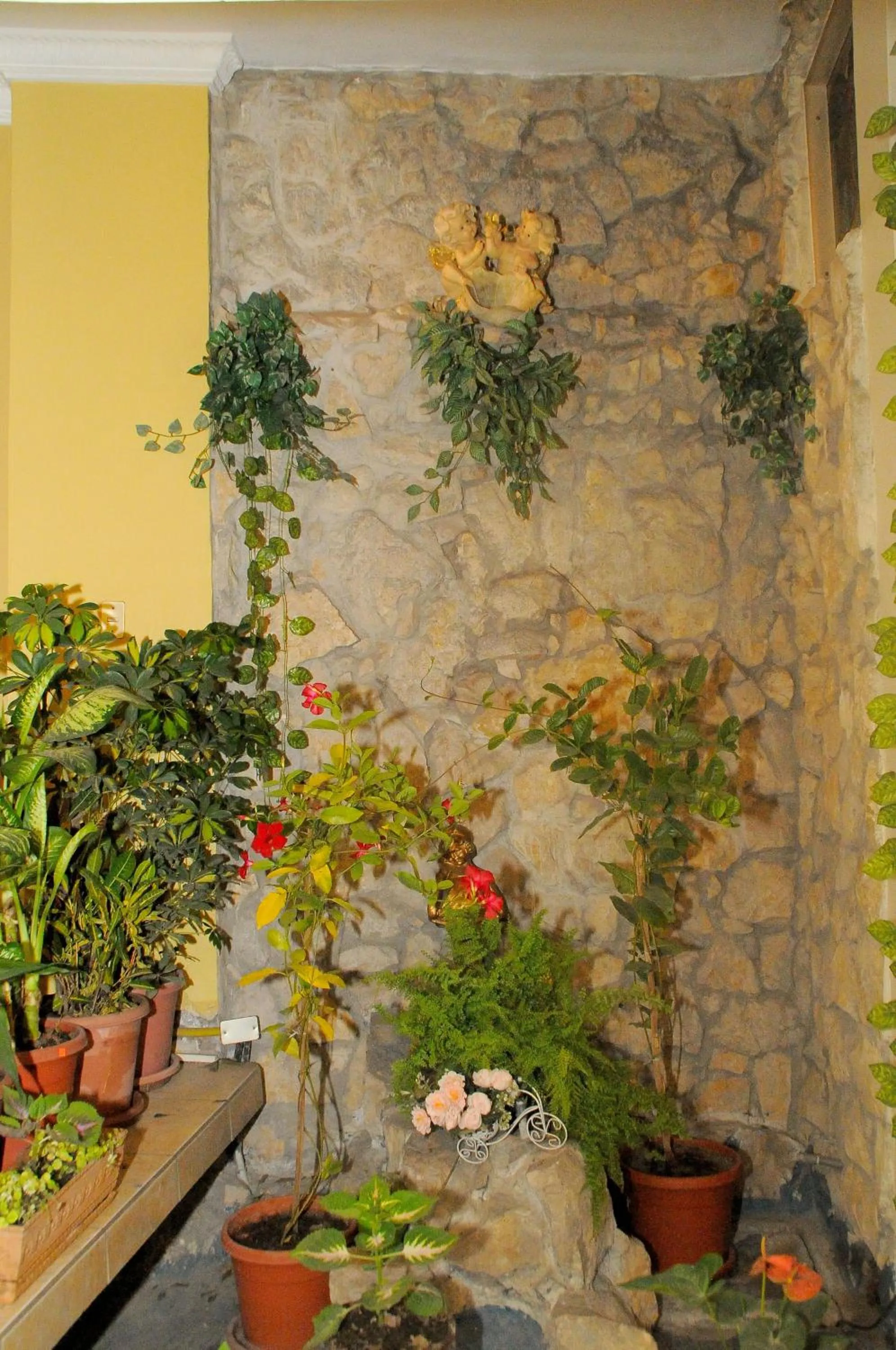 Garden in Colony Inn Hotel