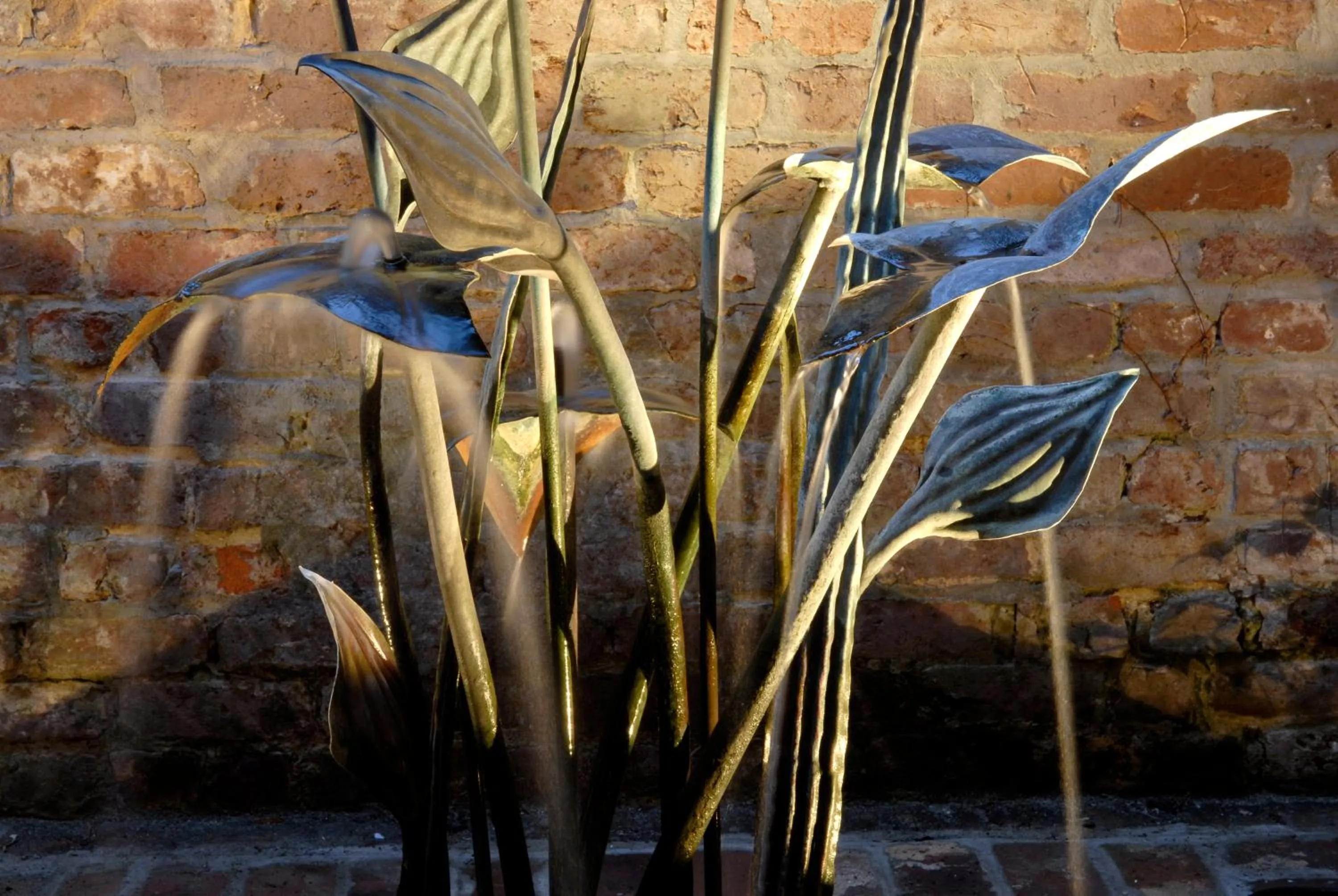 Garden in Foley House Inn