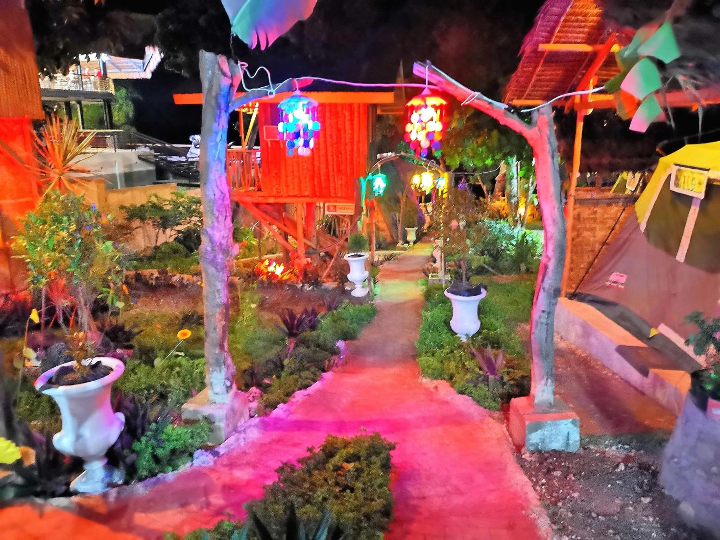 Garden in Stay N Save B&B