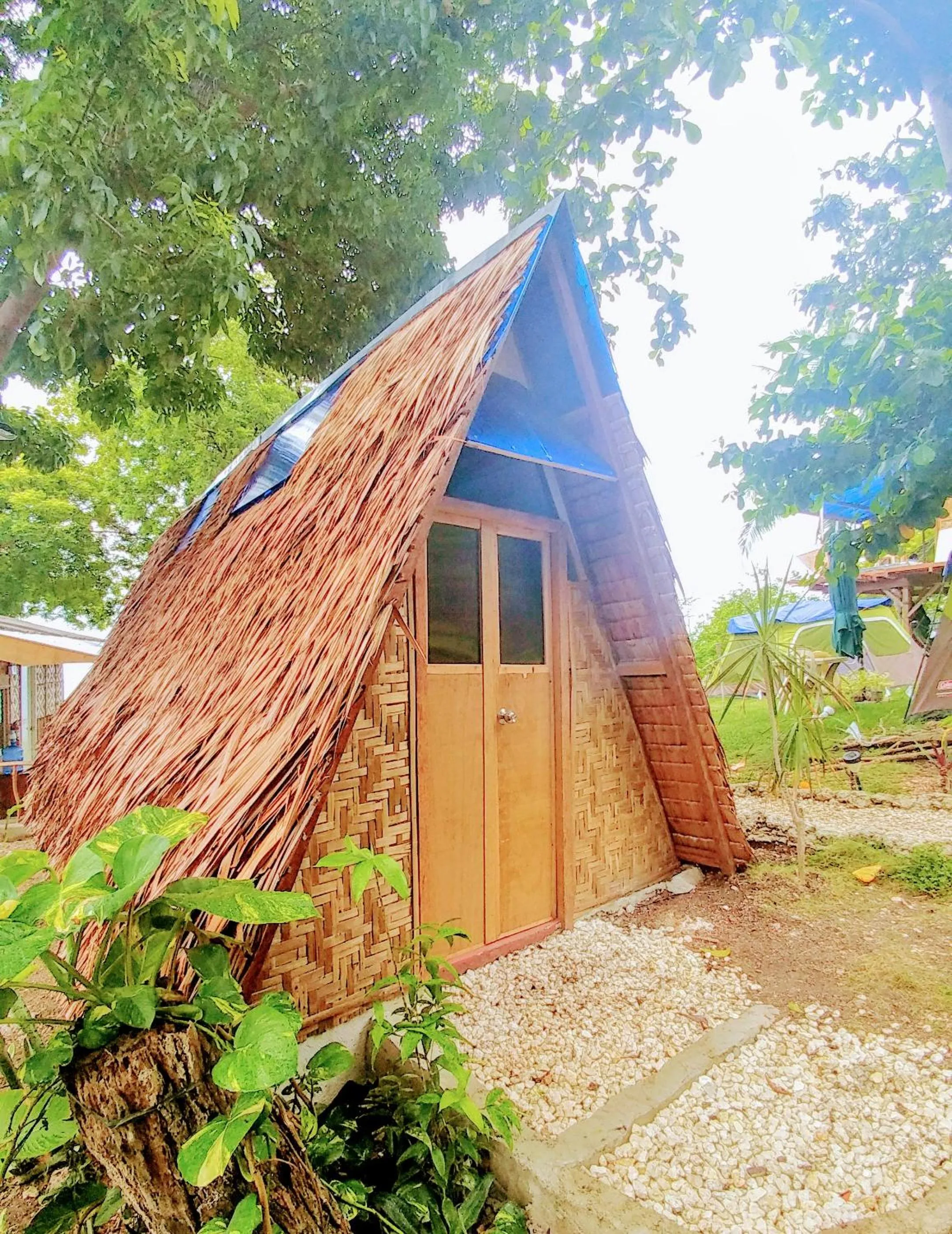 Garden in Stay N Save B&B