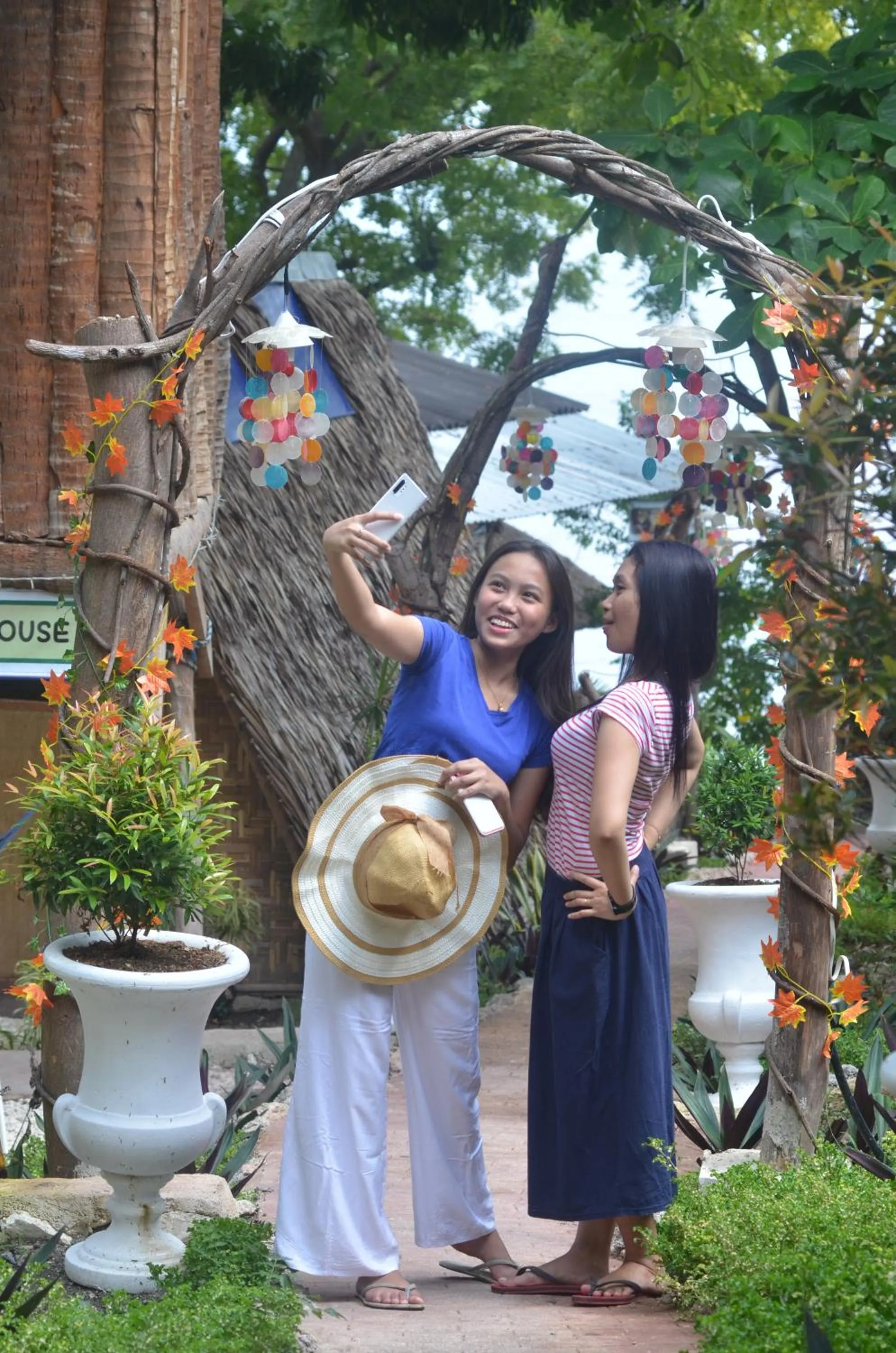 Garden in Stay N Save B&B