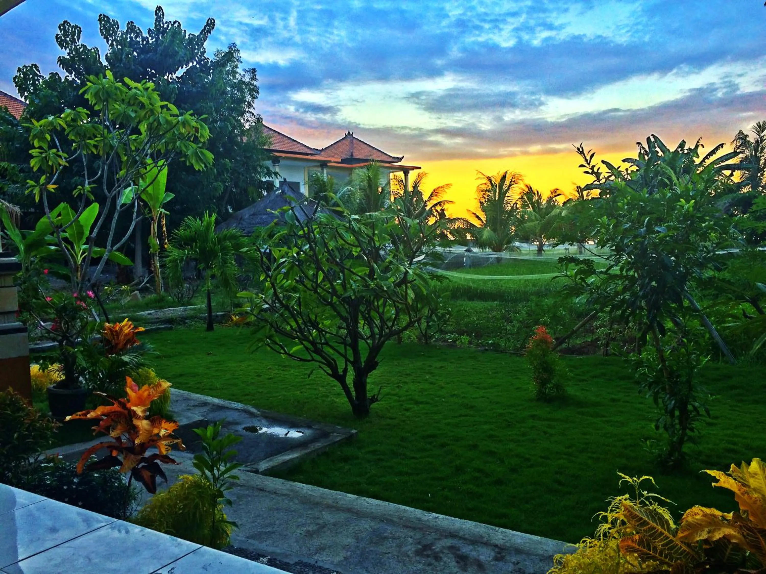 Garden in Taman Padi Villa