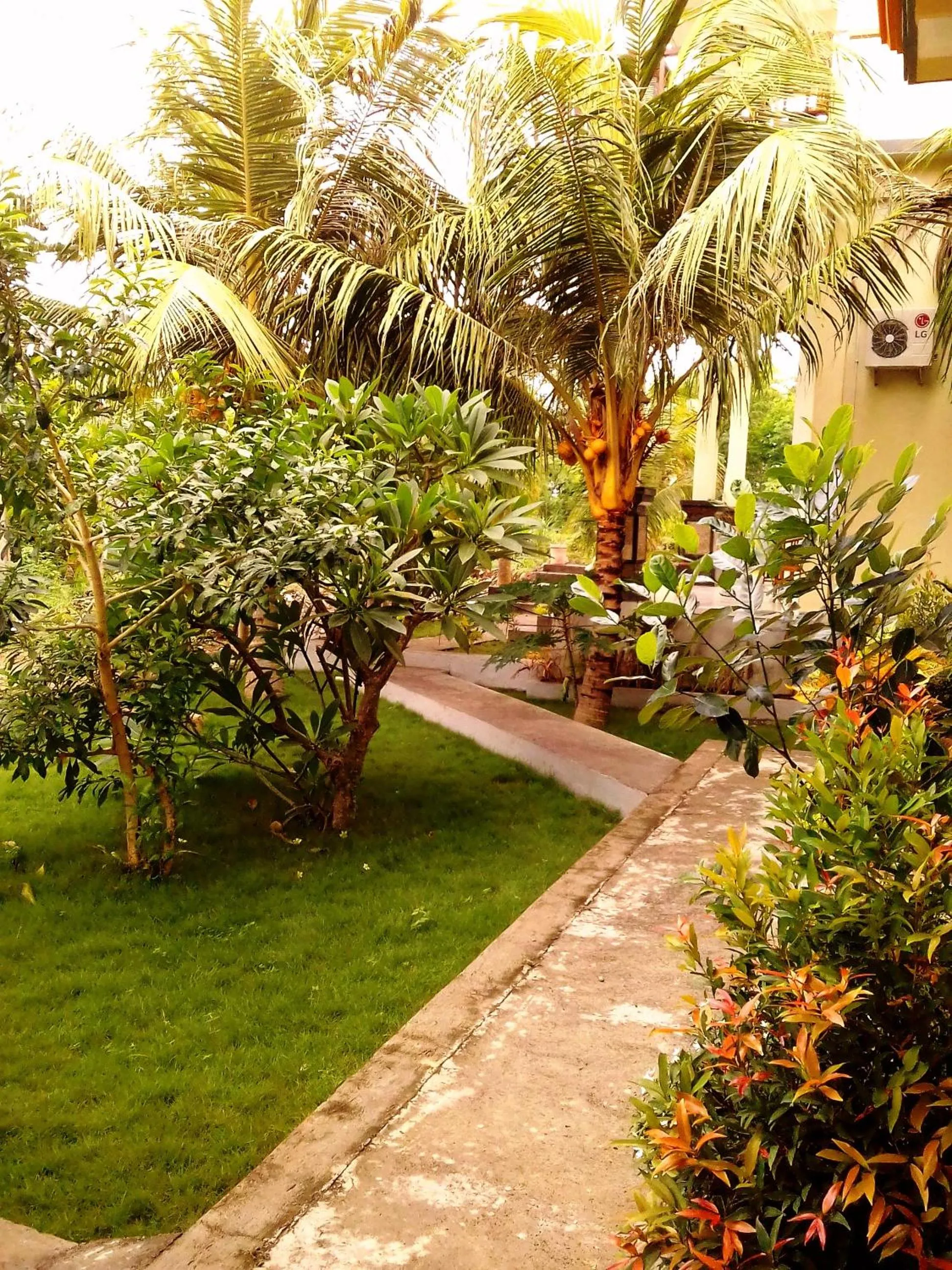 Garden in Taman Padi Villa