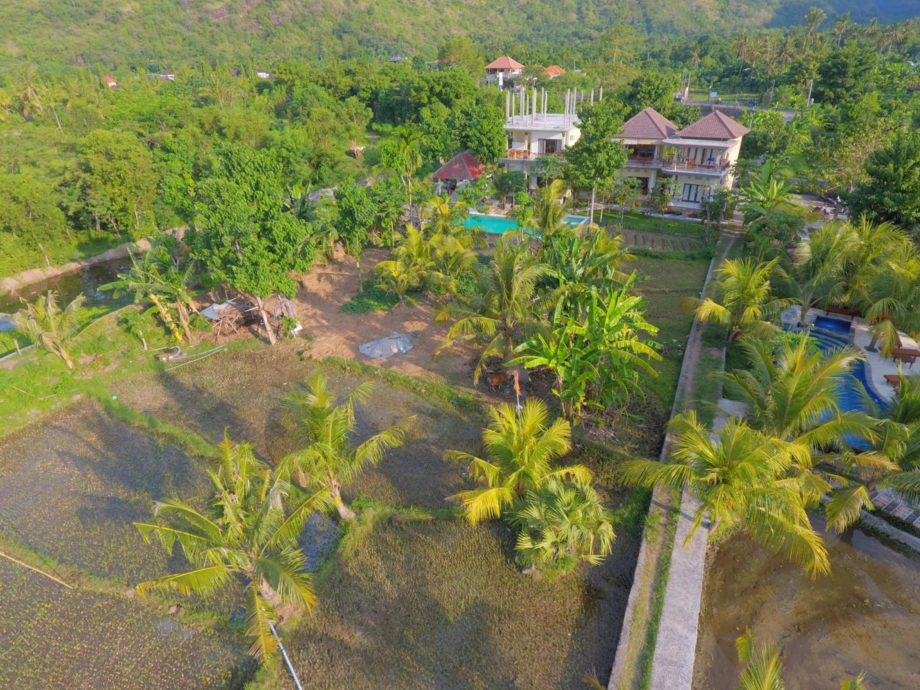 Bird's eye view in Taman Padi Villa