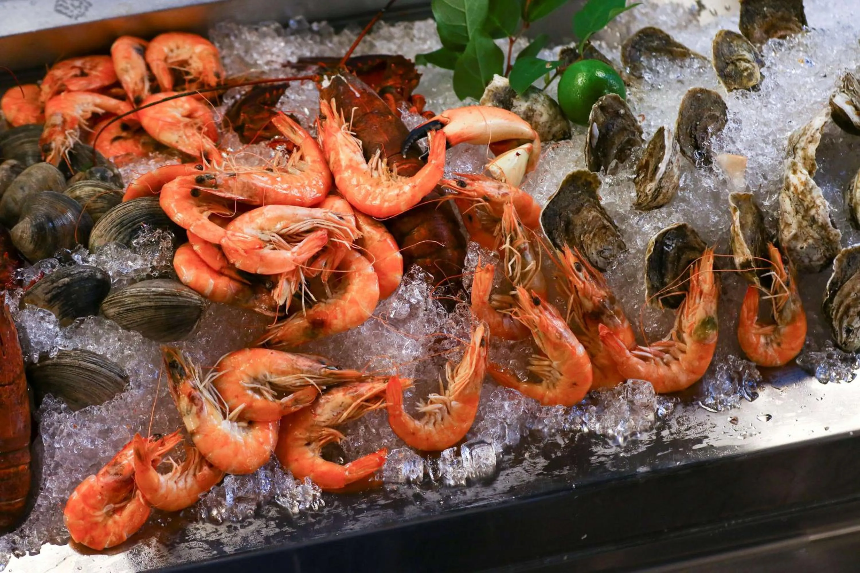 Restaurant/places to eat in Hilton Norfolk The Main