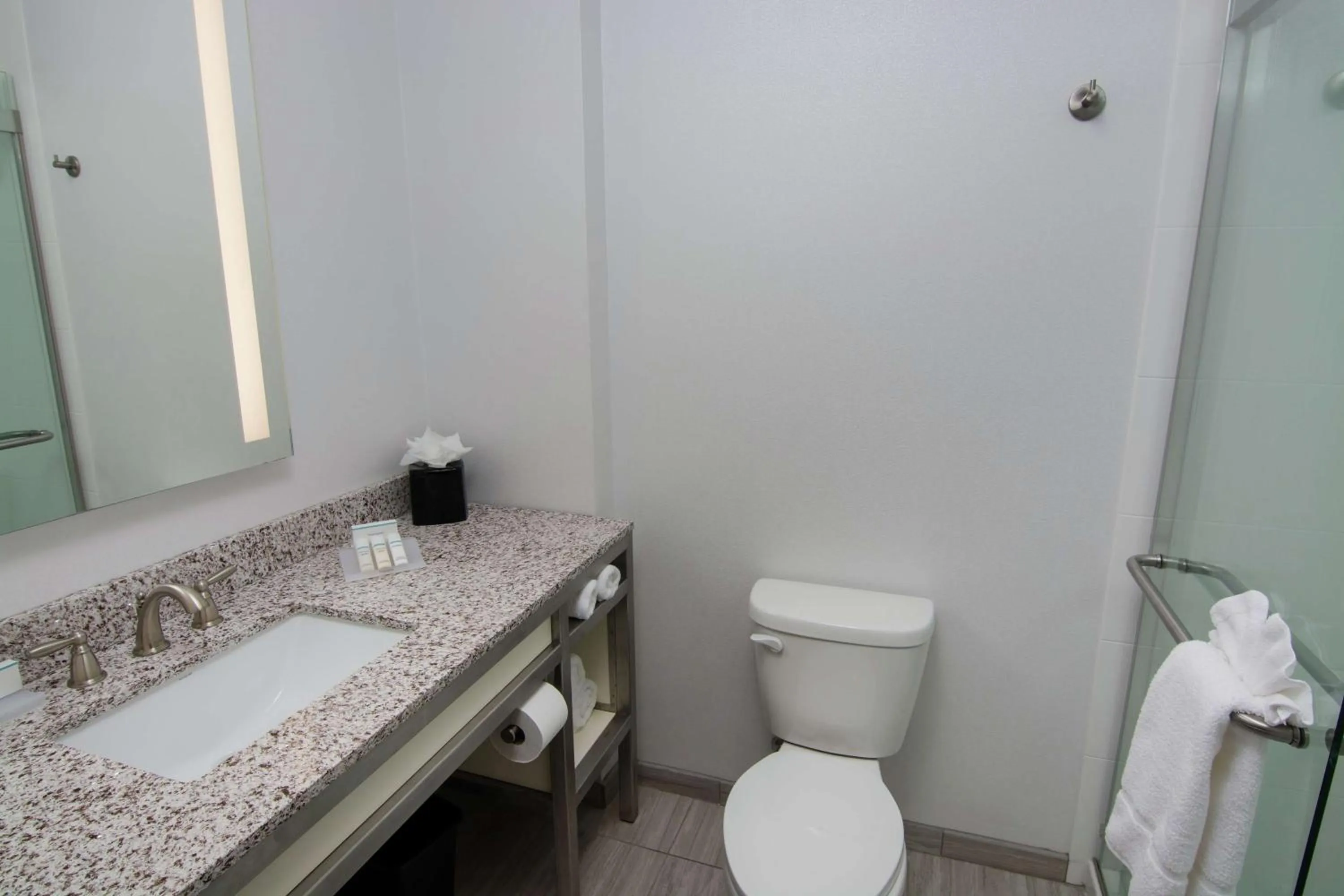 Bathroom in Hilton Garden Inn Tampa Suncoast Parkway