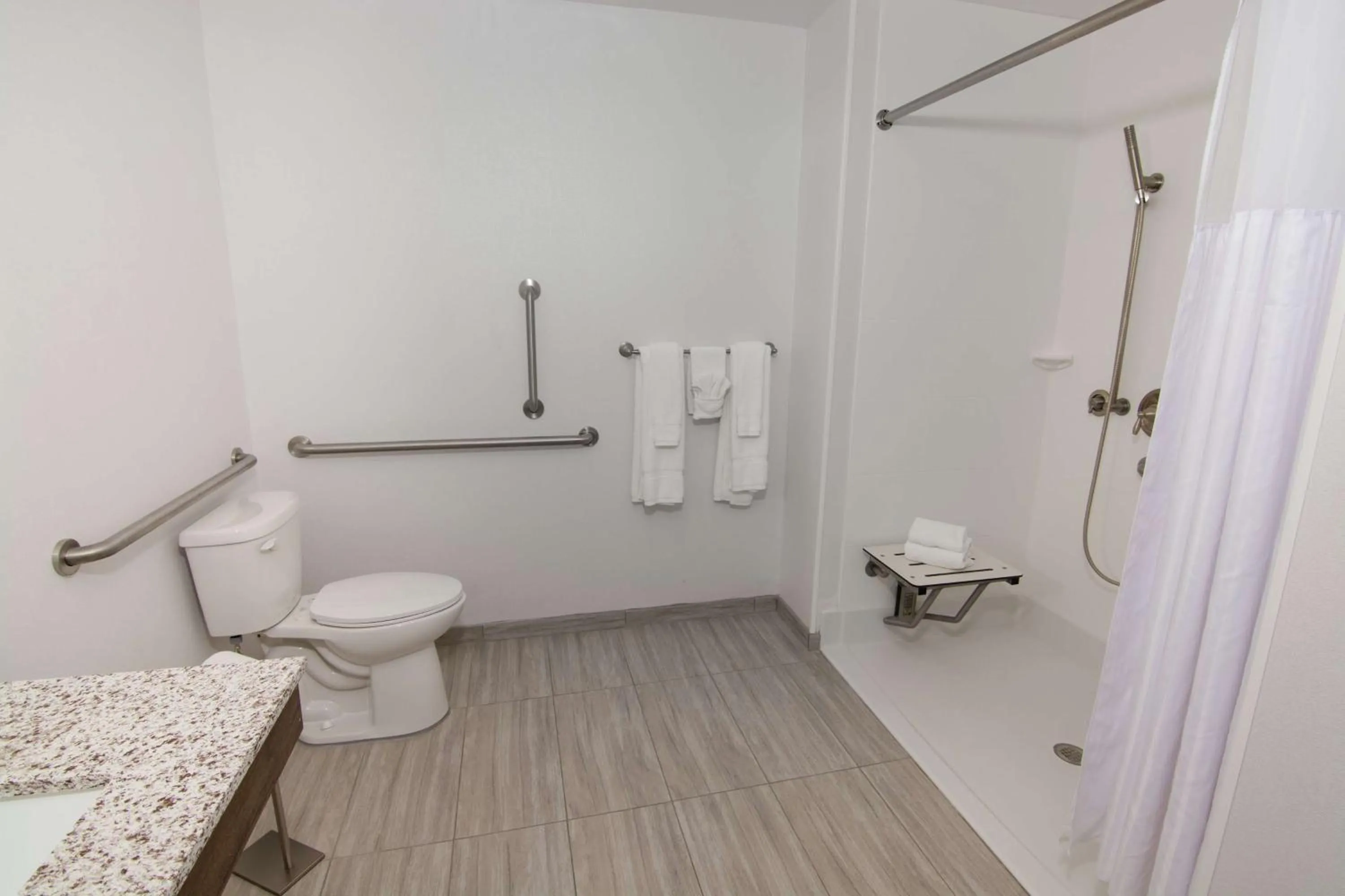 Bathroom in Hilton Garden Inn Tampa Suncoast Parkway