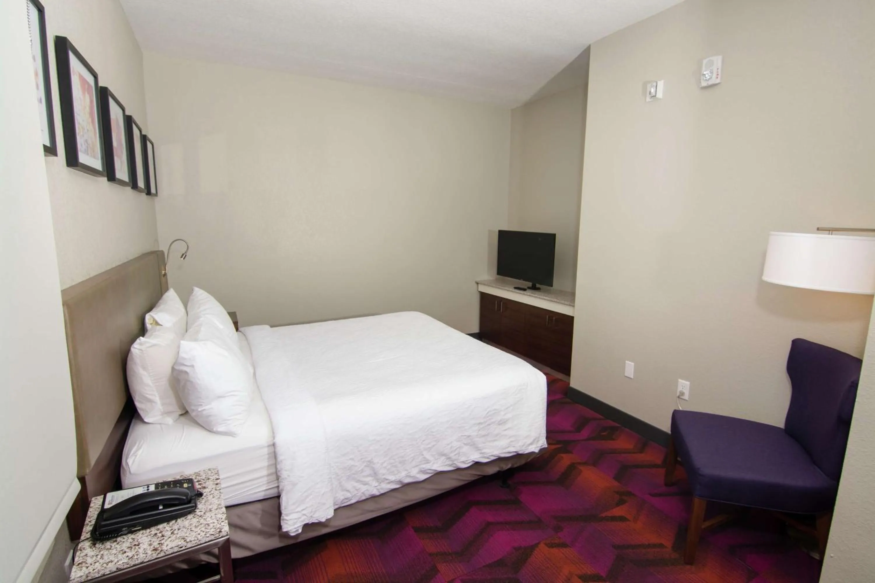 Bedroom, Bed in Hilton Garden Inn Tampa Suncoast Parkway
