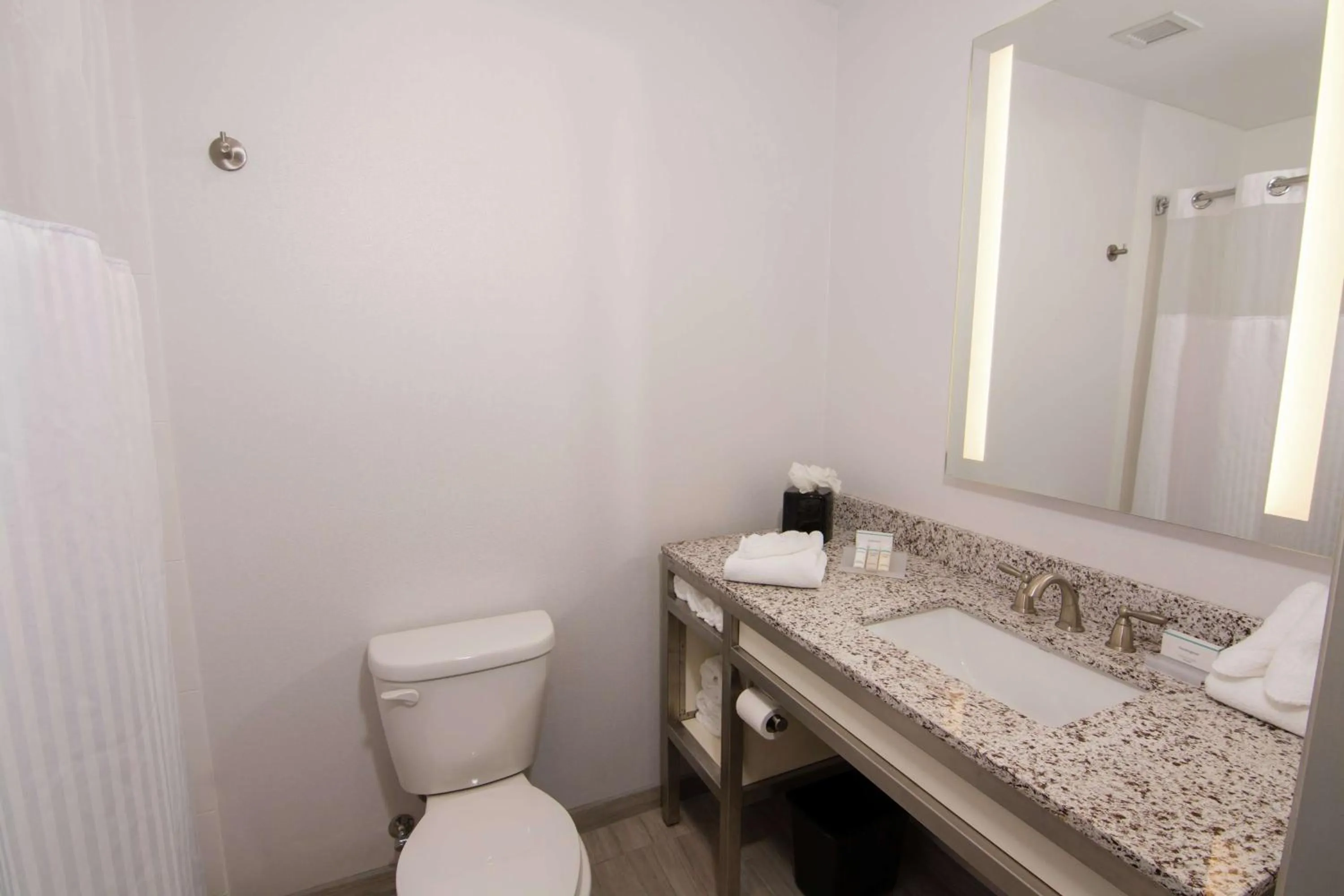 Bathroom in Hilton Garden Inn Tampa Suncoast Parkway