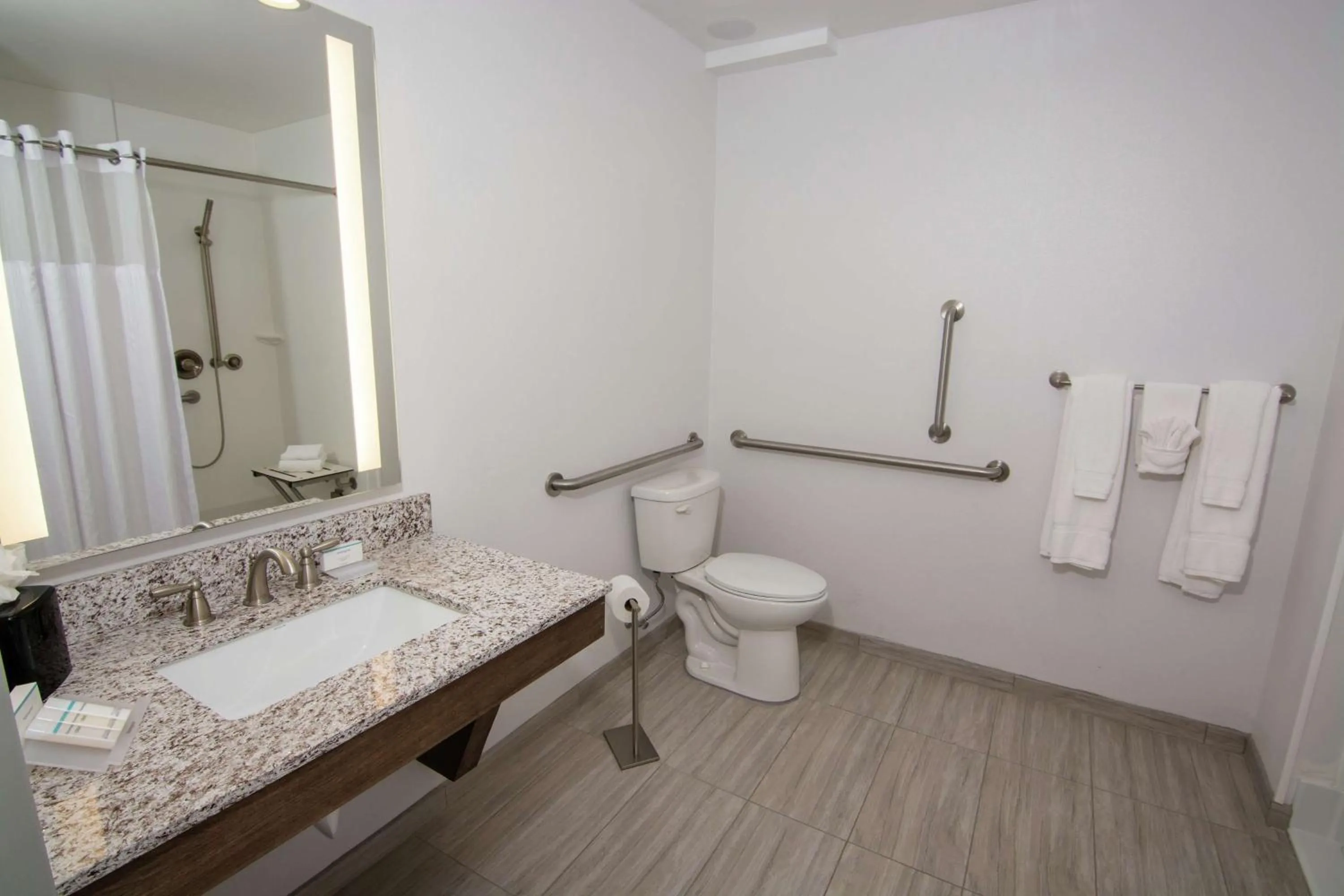 Bathroom in Hilton Garden Inn Tampa Suncoast Parkway