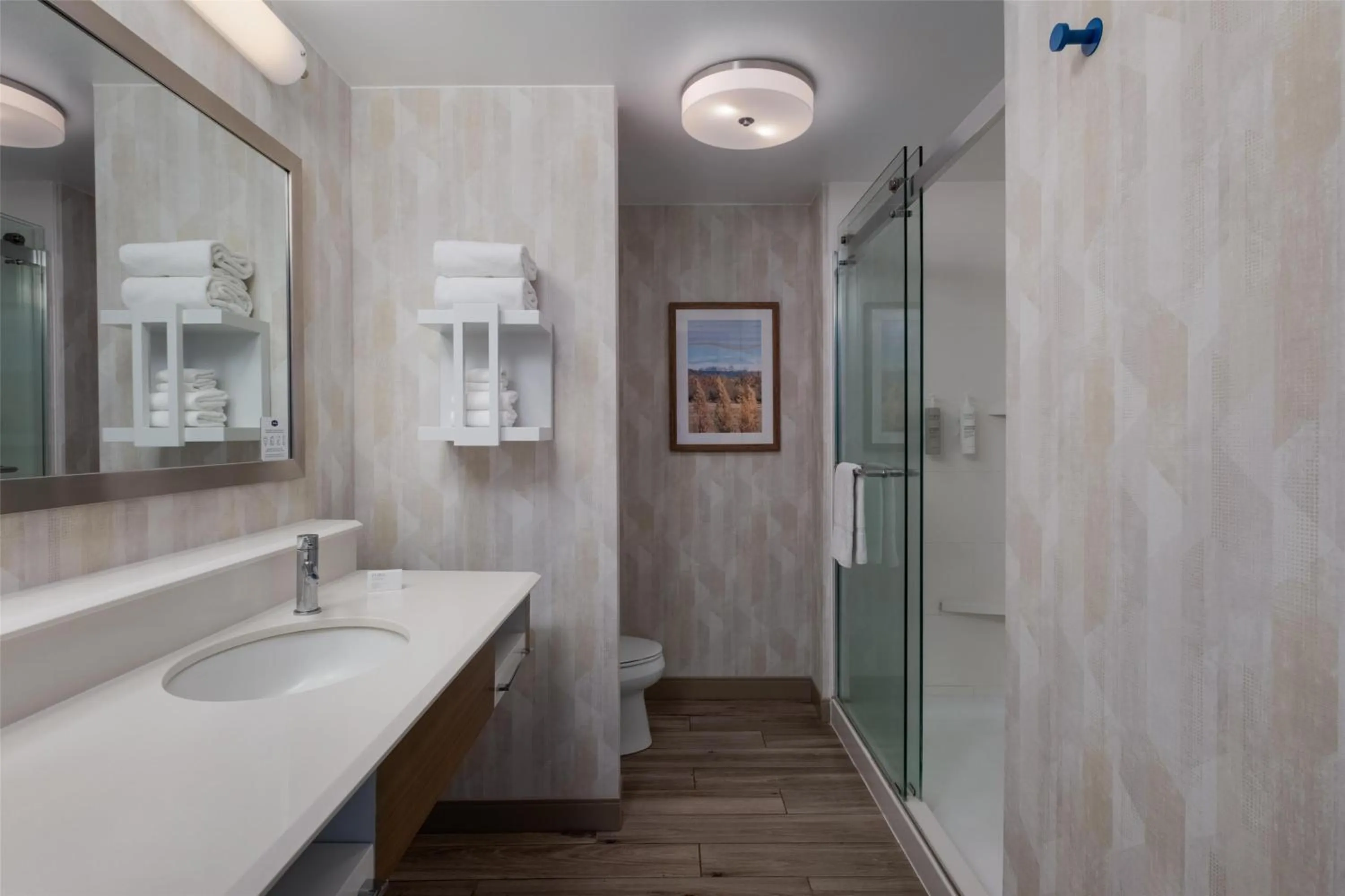 Bathroom in Hampton Inn by Hilton Turlock