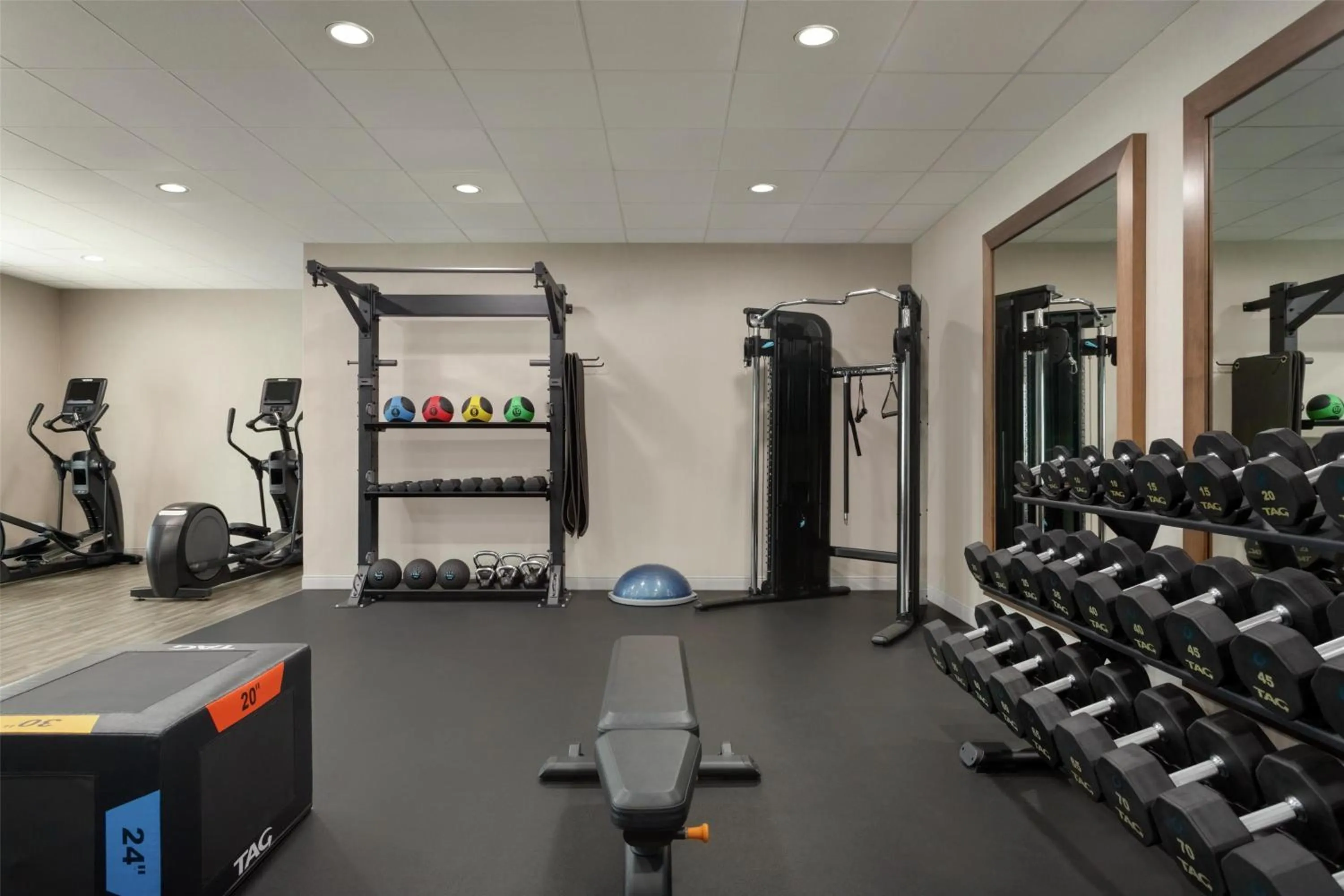 Fitness centre/facilities in Hampton Inn & Suites by Hilton Tampa Busch Gardens Area