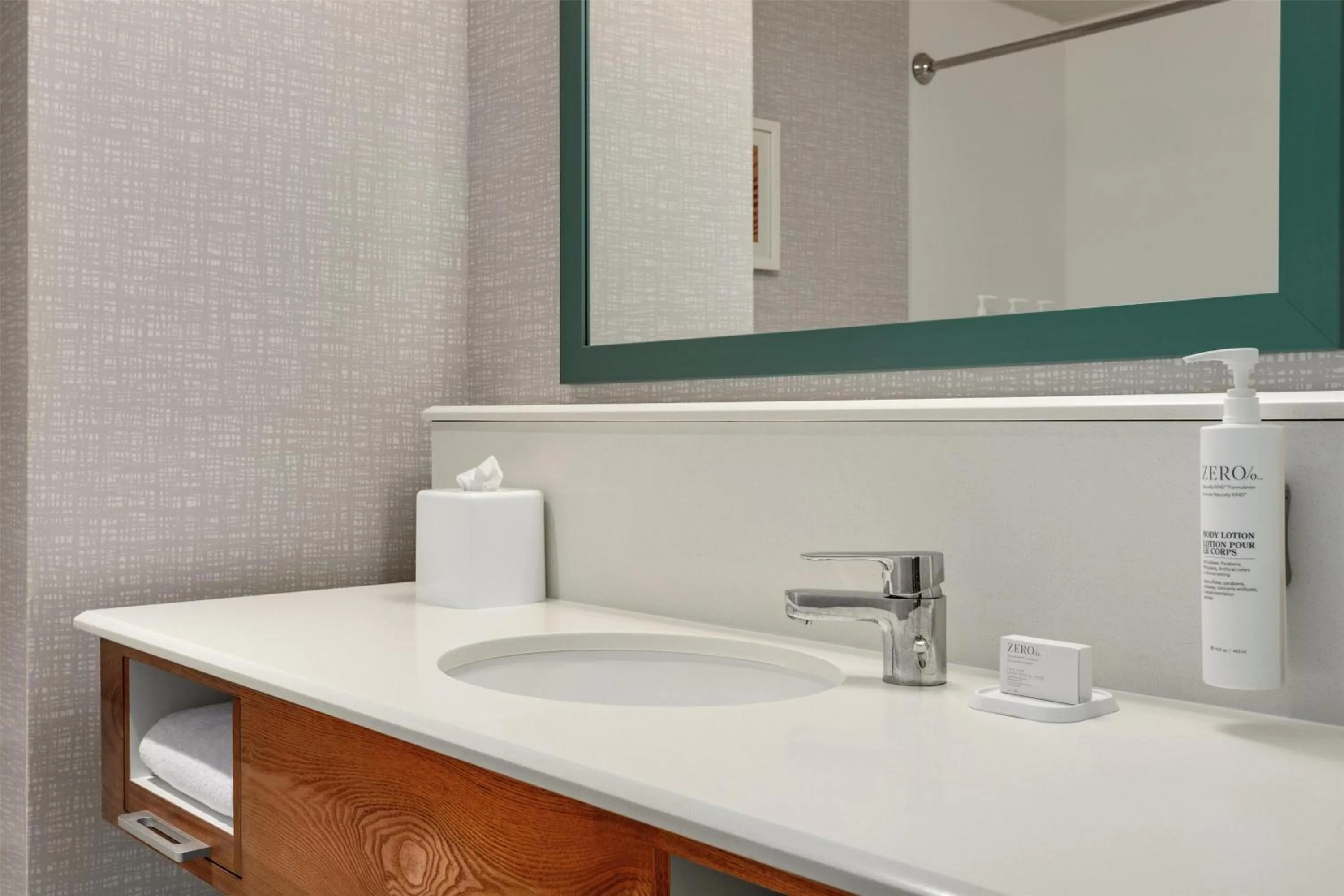 Bathroom in Hampton Inn & Suites by Hilton Tampa Busch Gardens Area