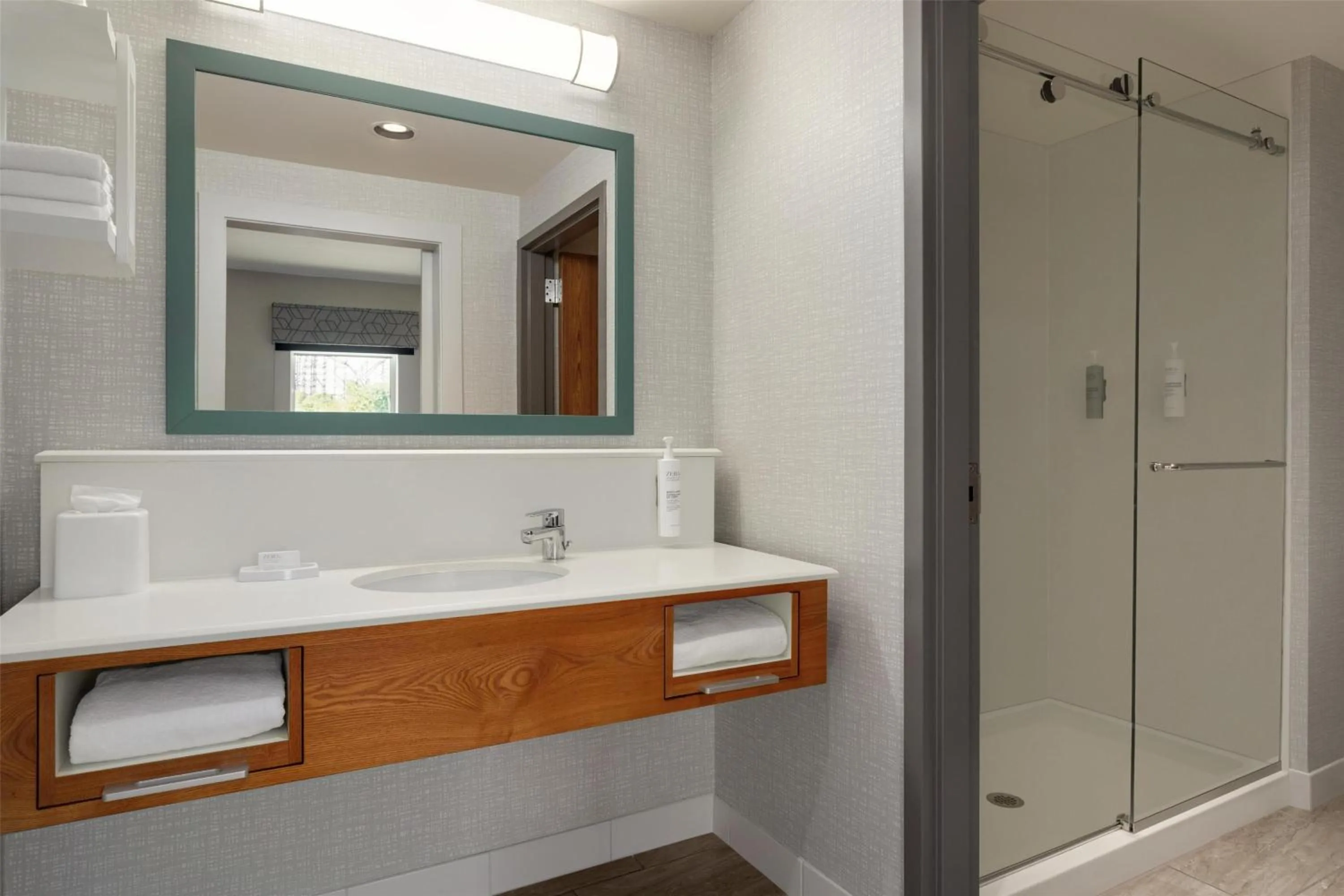 Bathroom in Hampton Inn & Suites by Hilton Tampa Busch Gardens Area