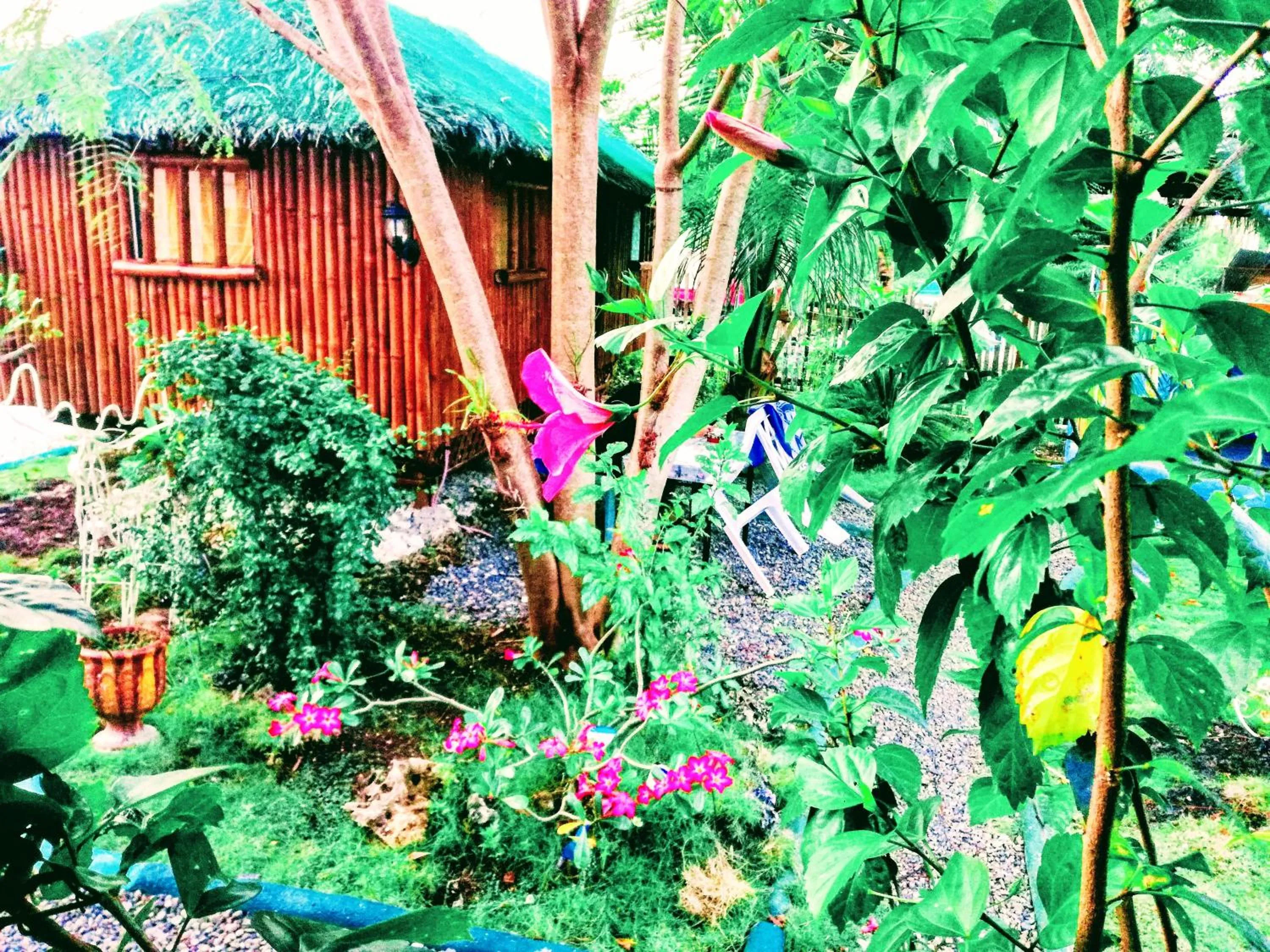 Moalboal Bamboo Guest House