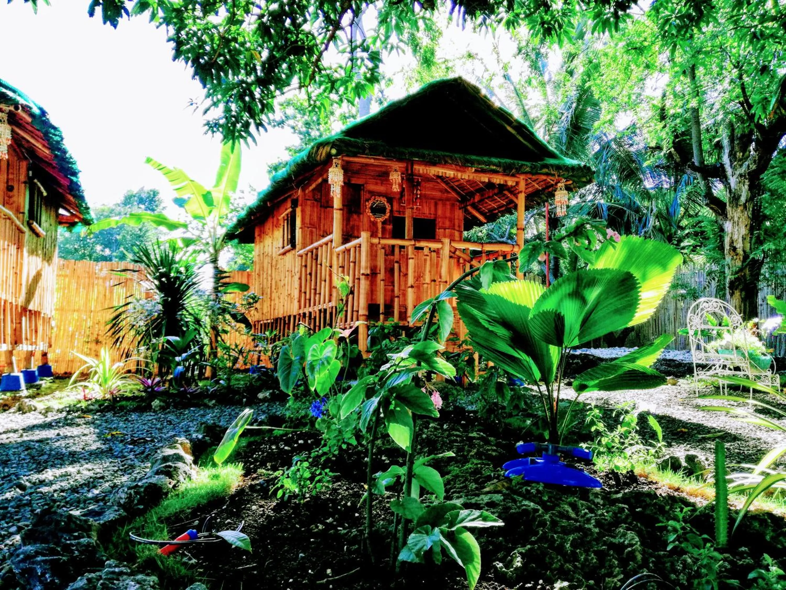 Moalboal Bamboo Guest House