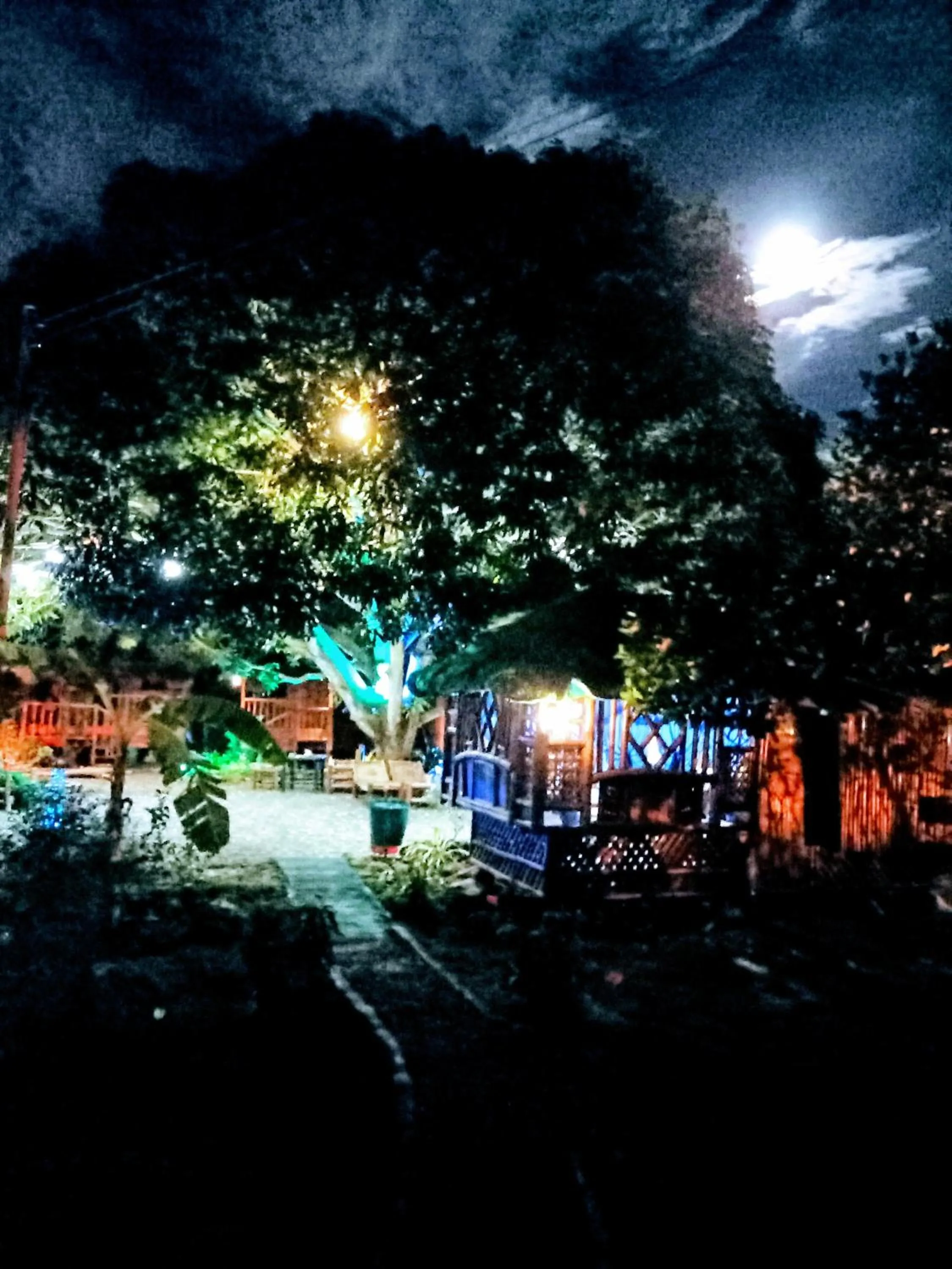 Moalboal Bamboo Guest House