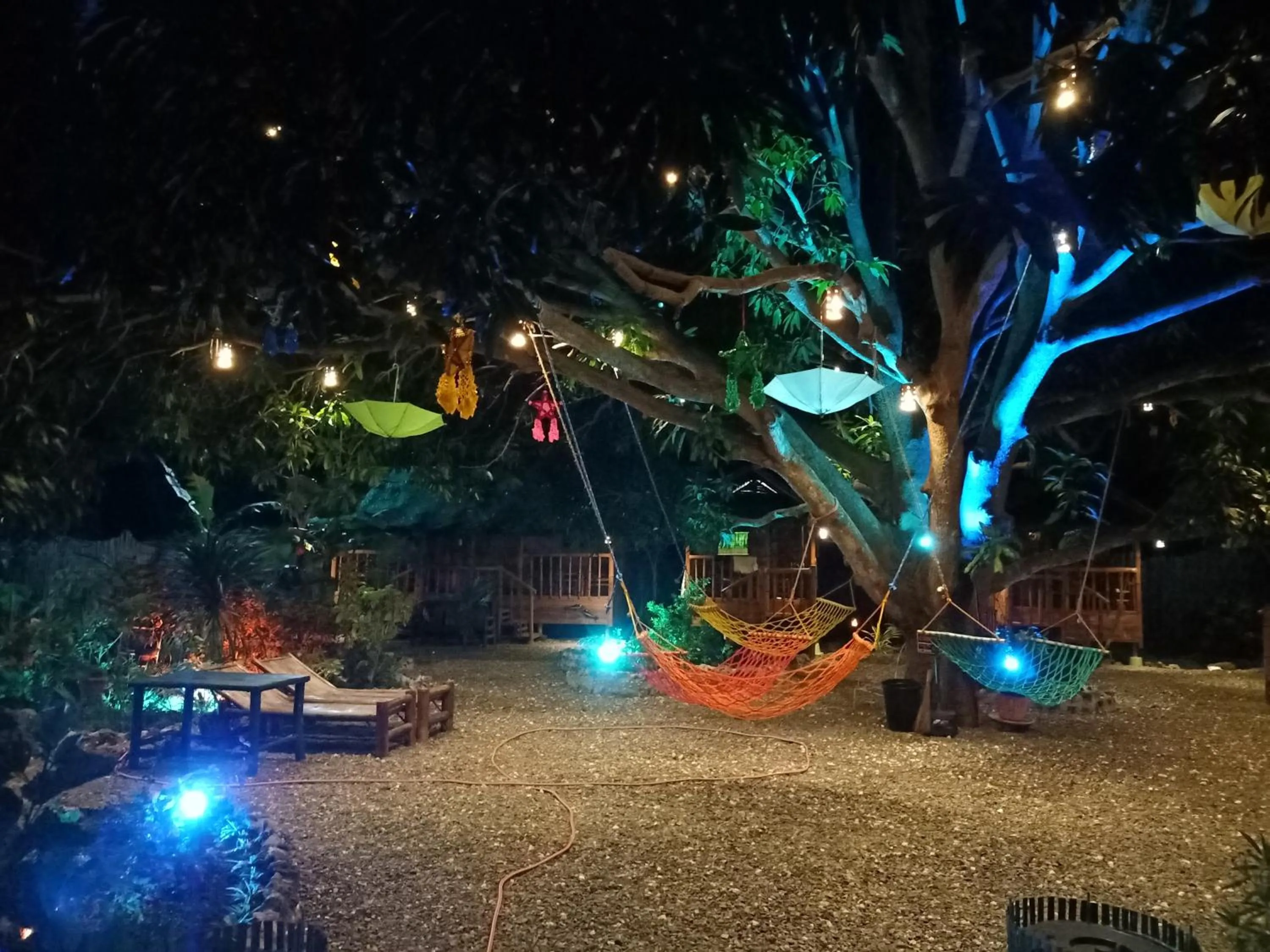 Garden view in Moalboal Bamboo Guest House