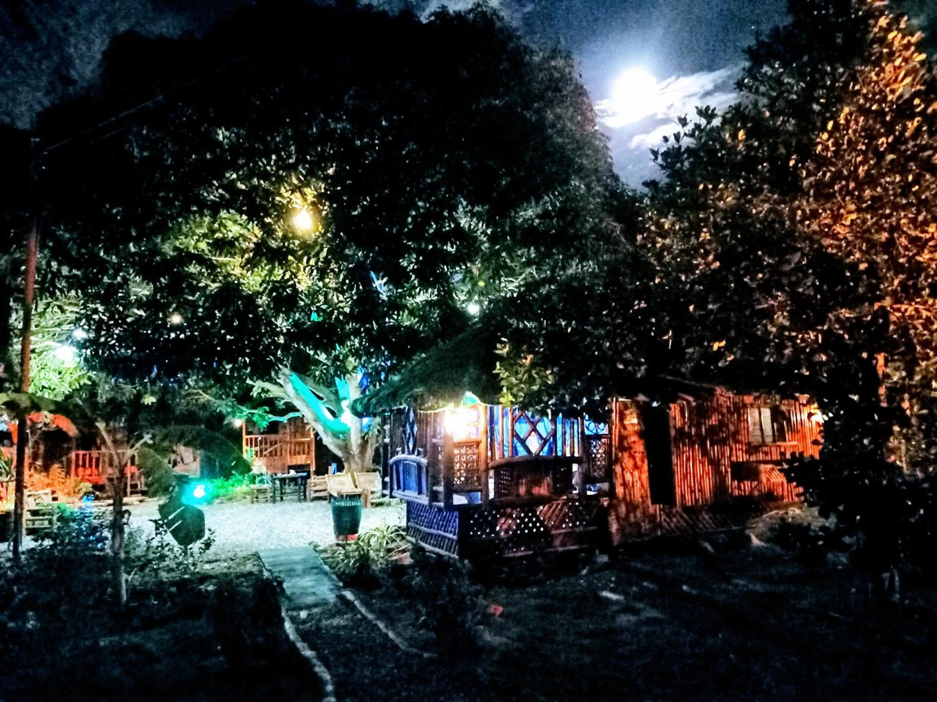 Moalboal Bamboo Guest House