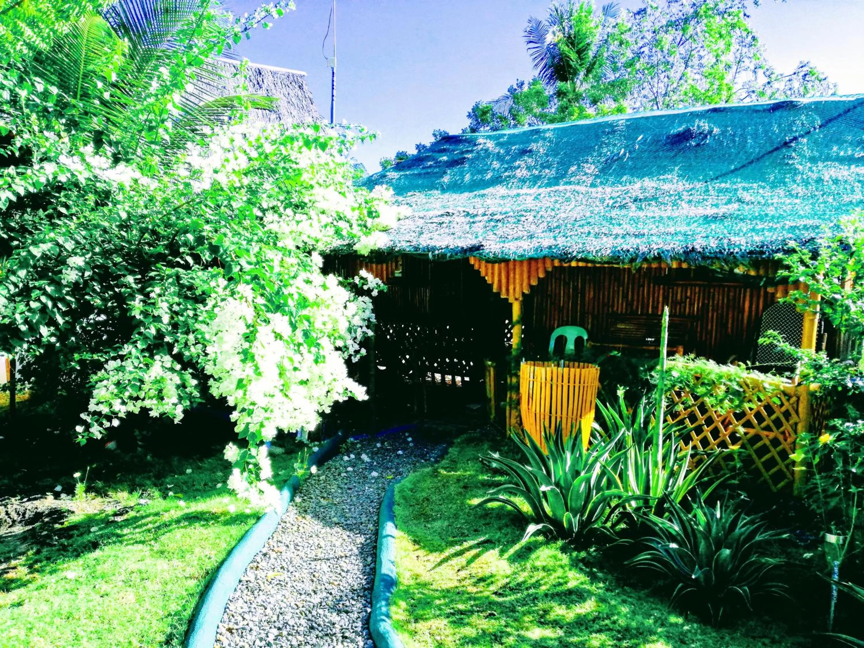 Moalboal Bamboo Guest House