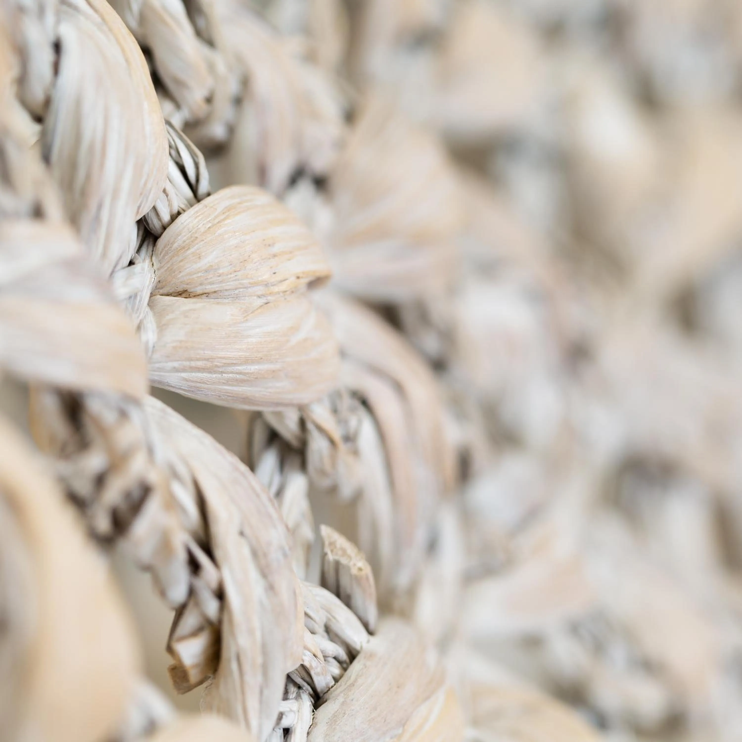 Decorative detail in The Aviary