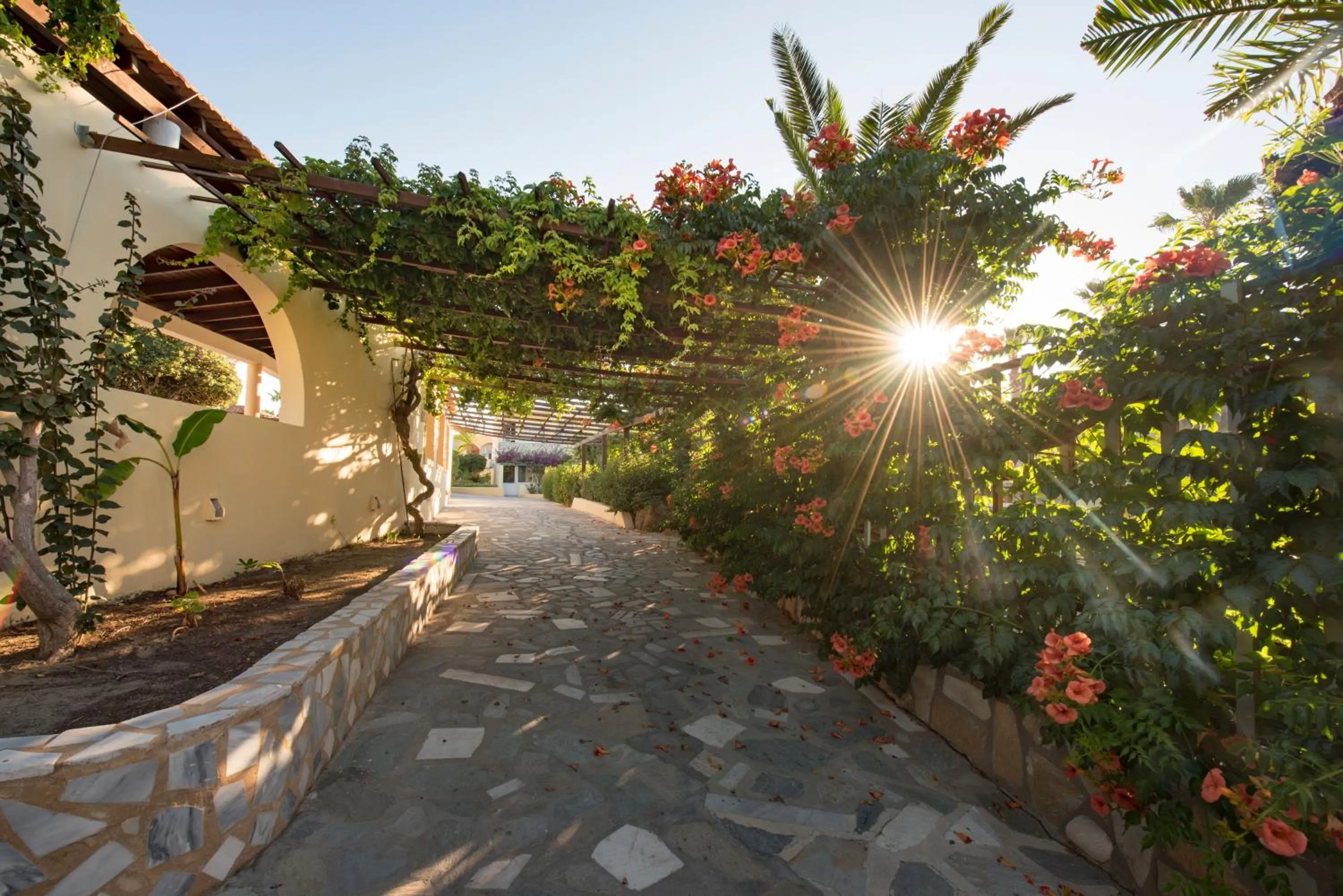 Area and facilities in Eurovillage Achilleas Hotel