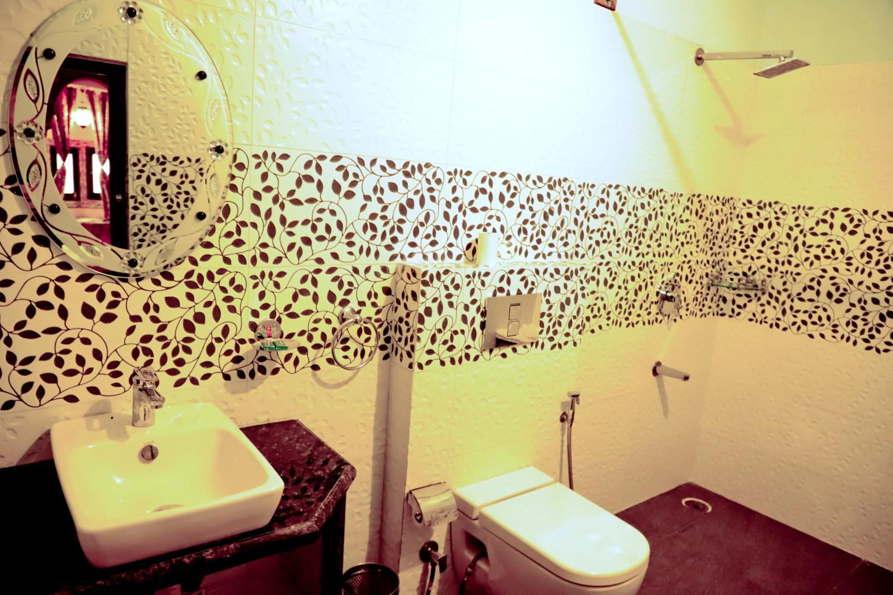 Toilet in Singhvi's Haveli