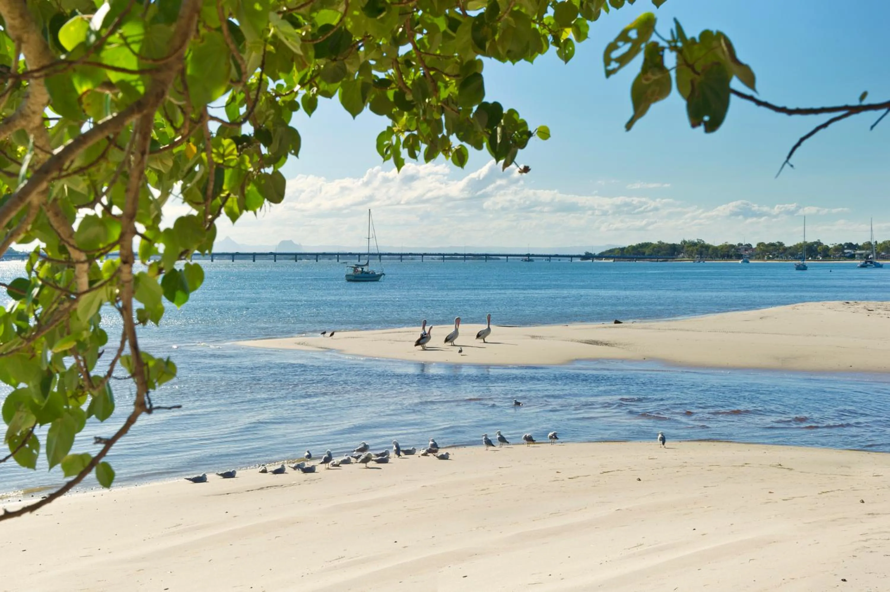 Natural landscape in On the Bay Apartments