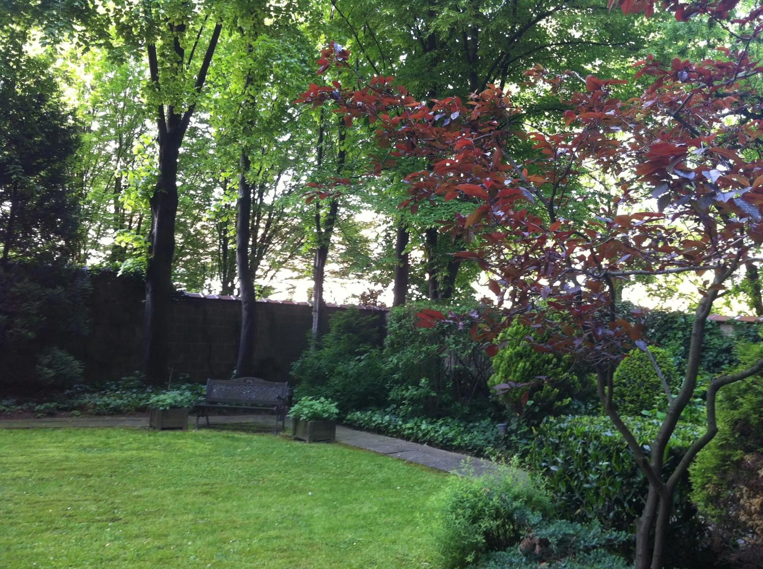 Garden in First Euroflat Hotel