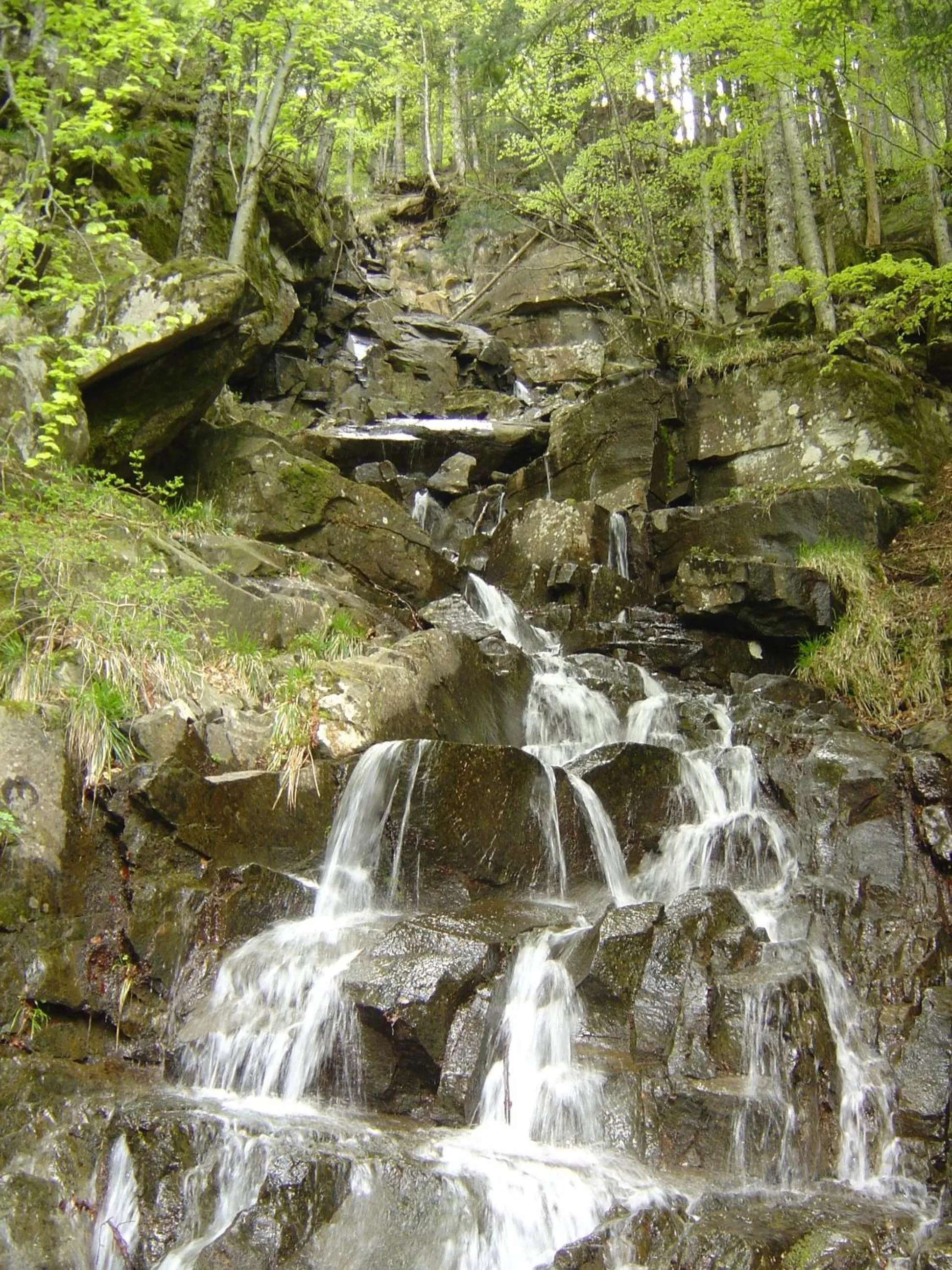 Other in Albergo Sichi