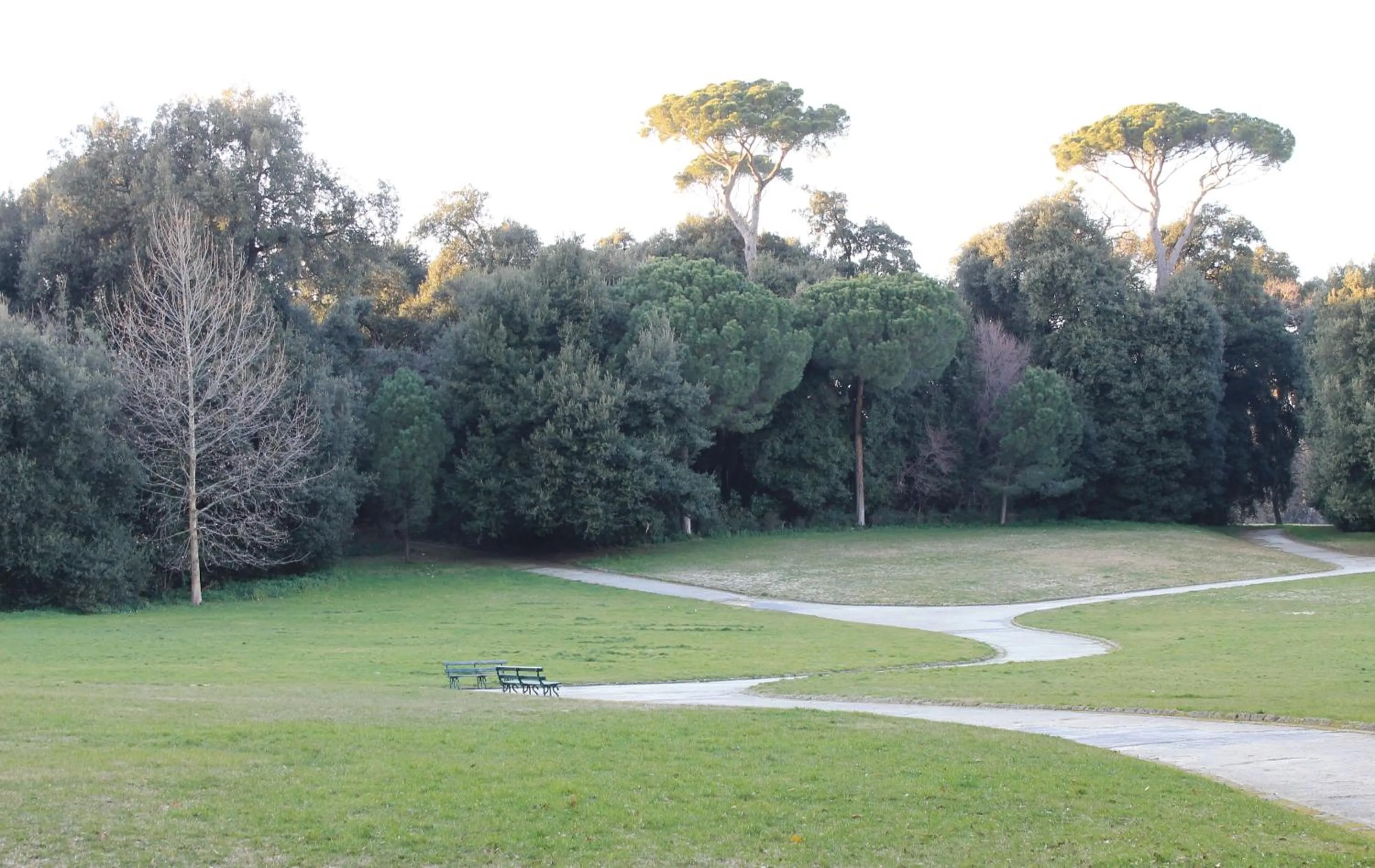 On site in Il Portoncino