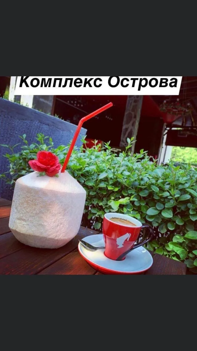 Restaurant/places to eat in Hotel Ostrova