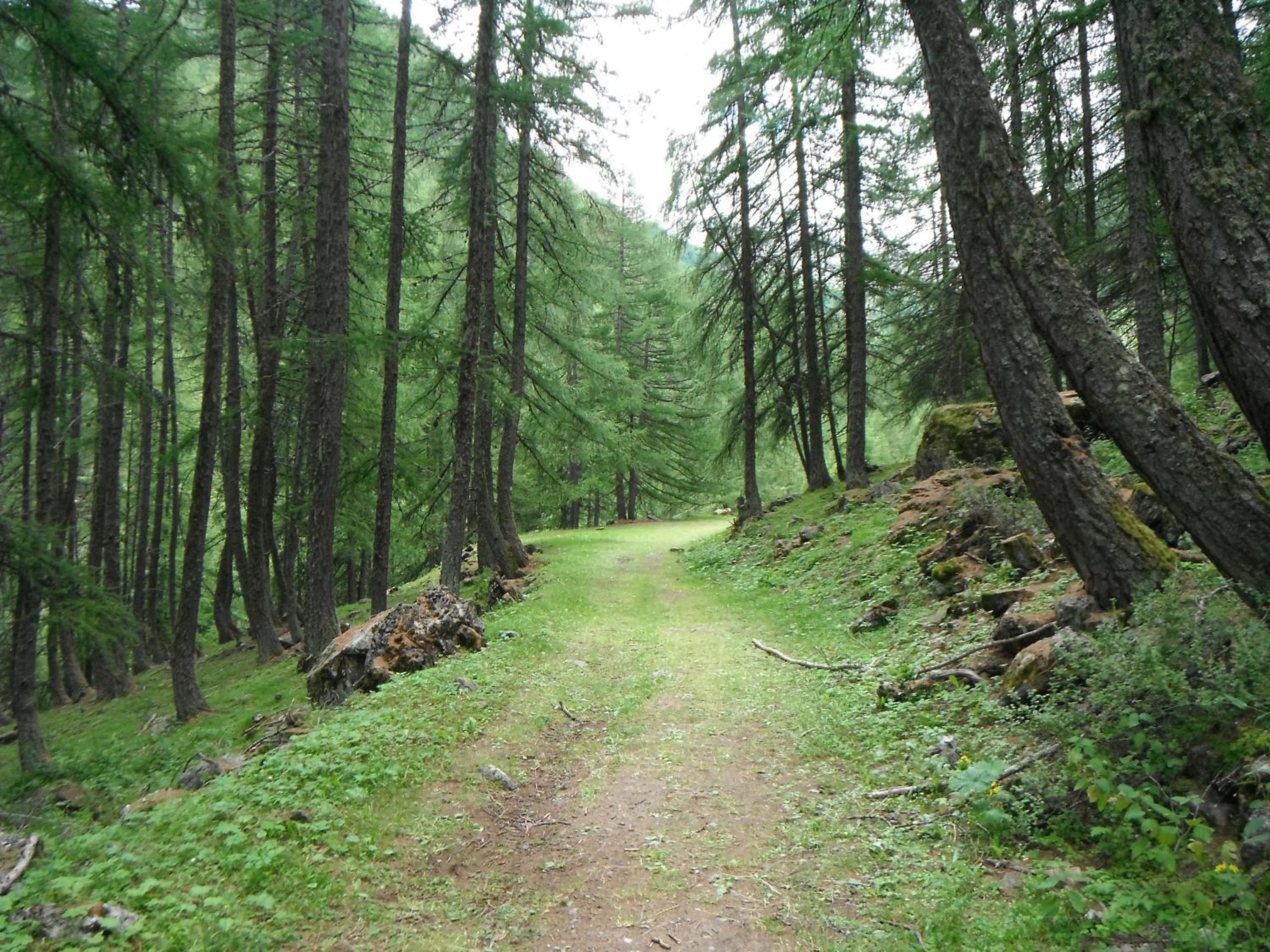 Hiking in Hotel La Portette