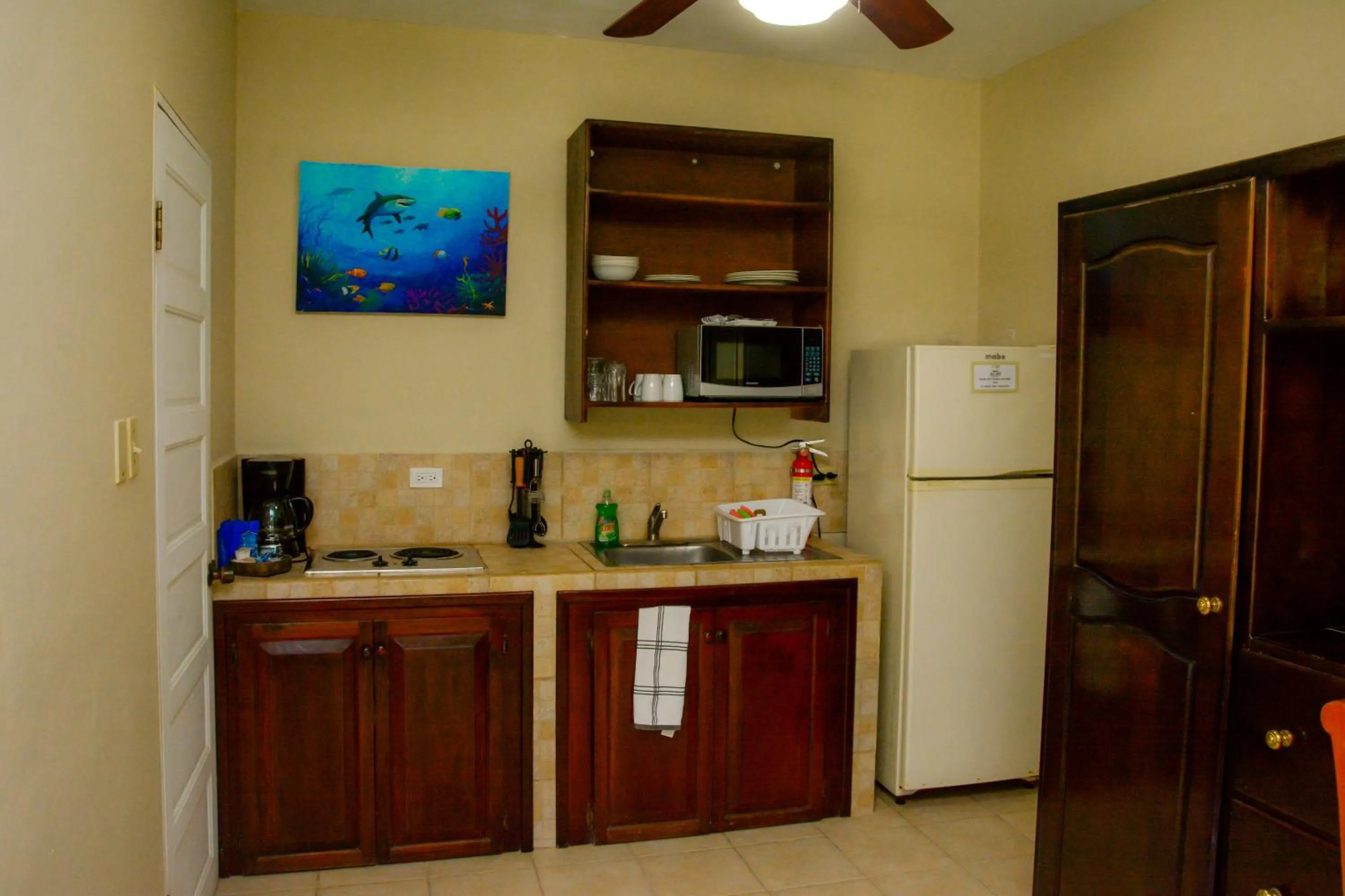 Kitchen or kitchenette in Jan's Hotel