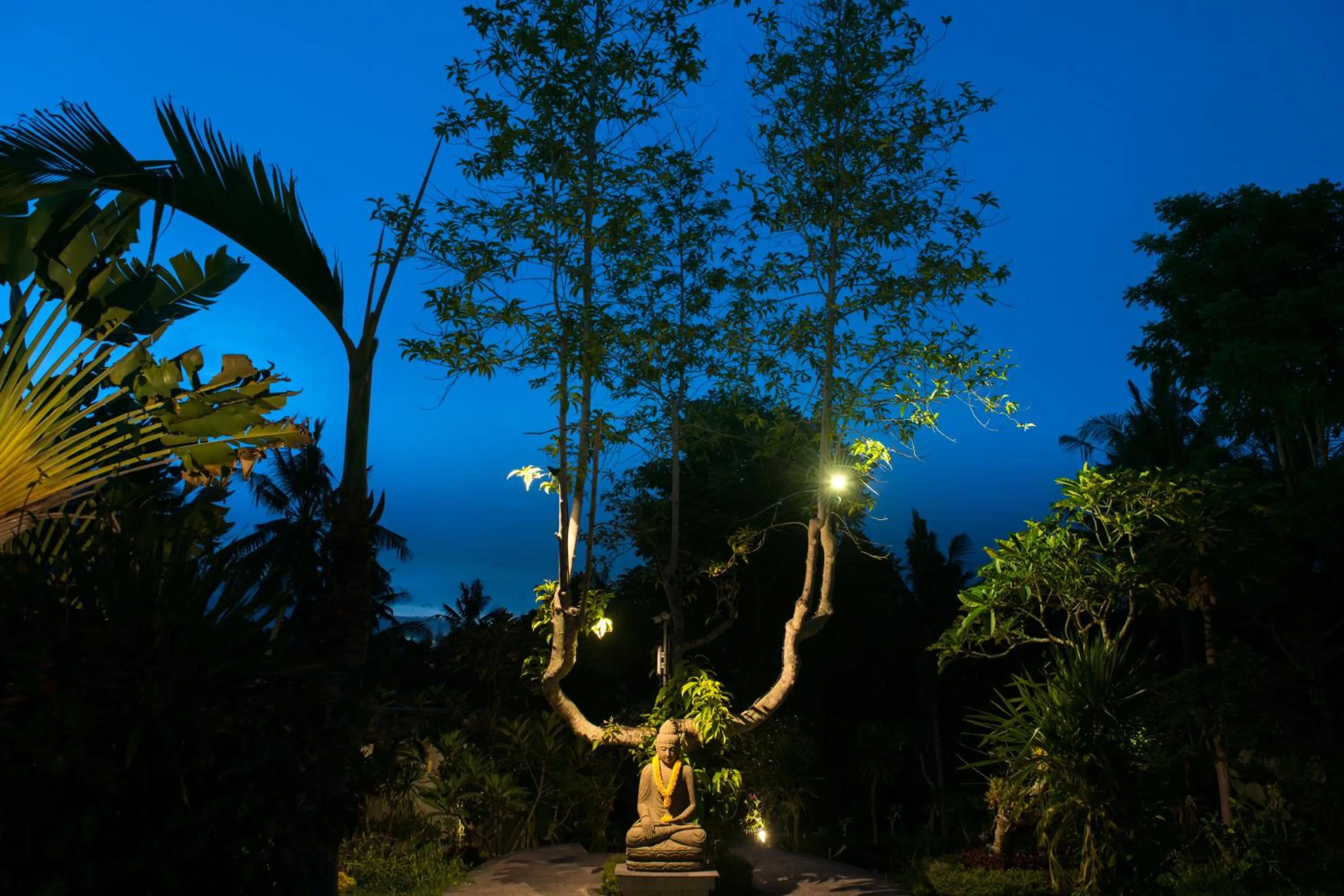 Natural landscape in Tirta Arum