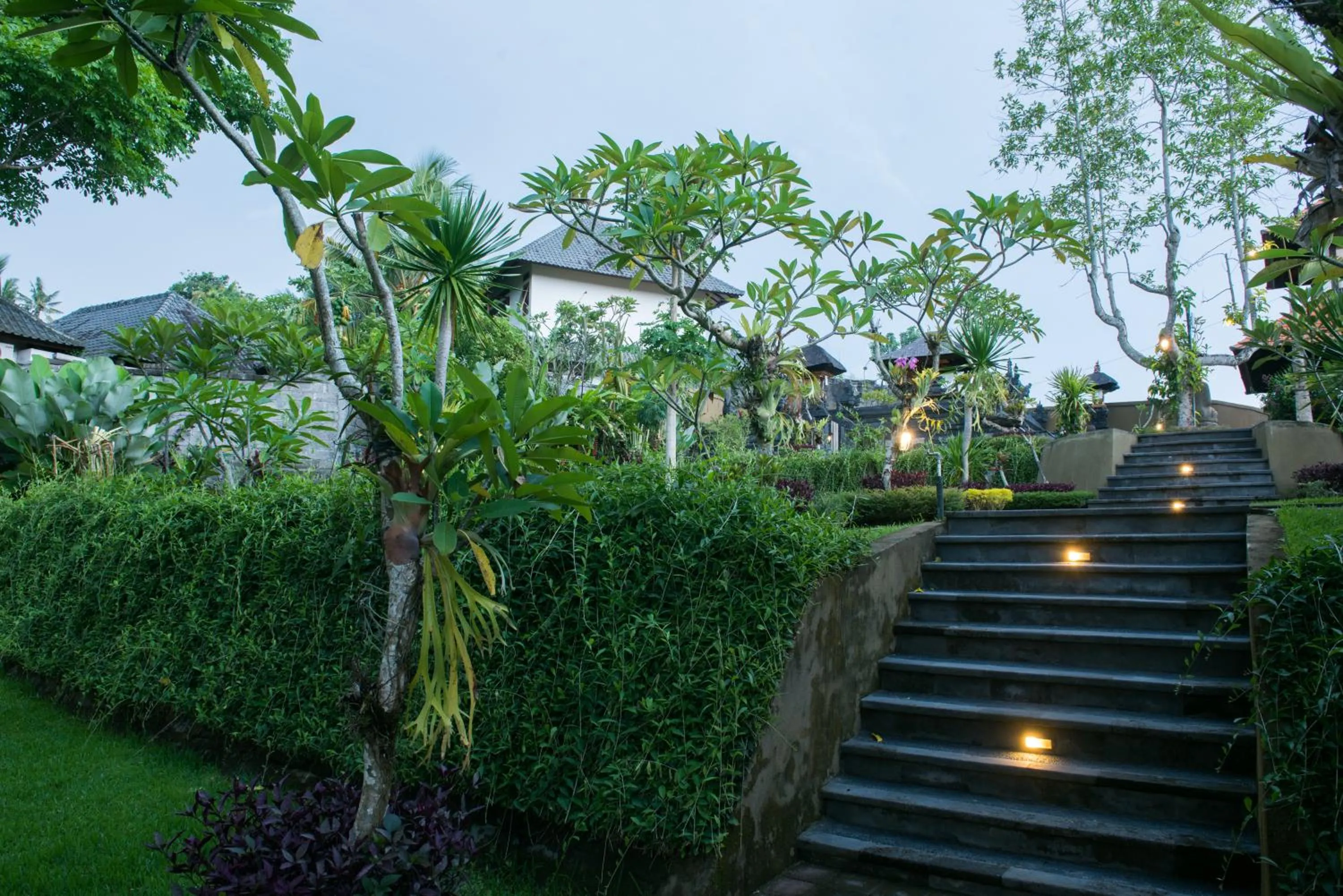 Natural landscape in Tirta Arum