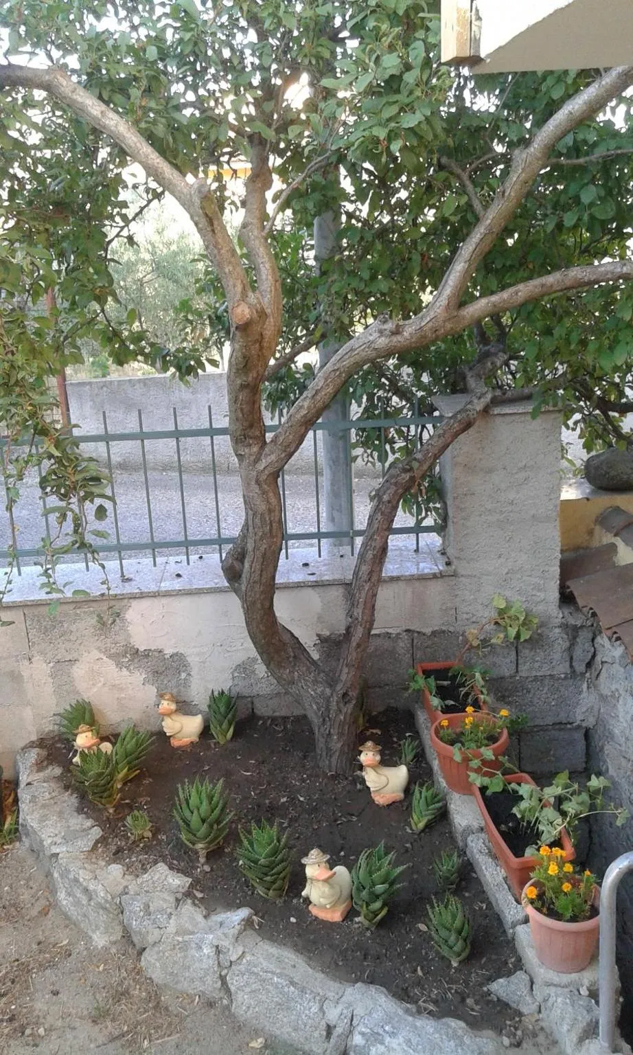 Floor plan in La Collina dei Ciliegi