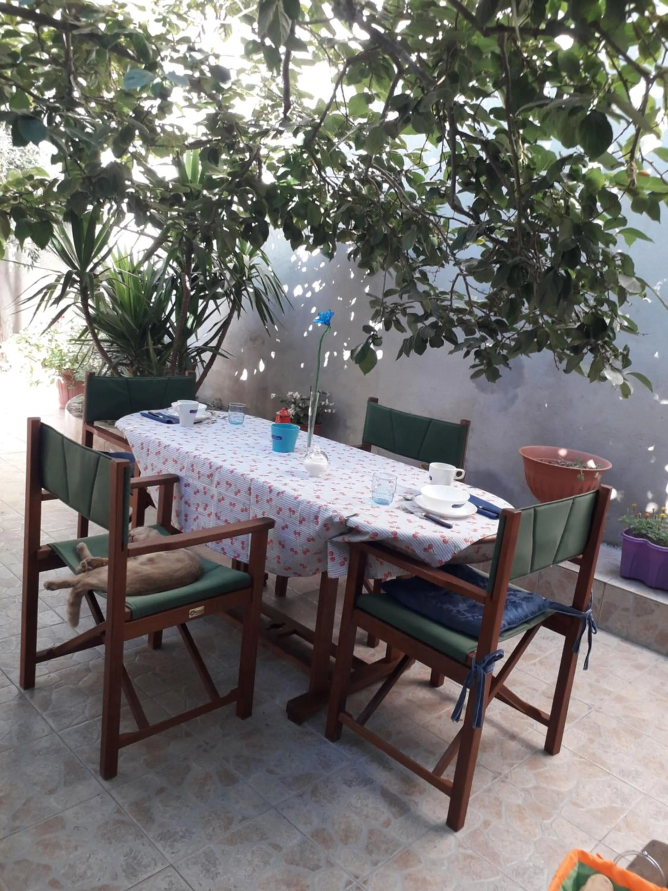 La Collina dei Ciliegi